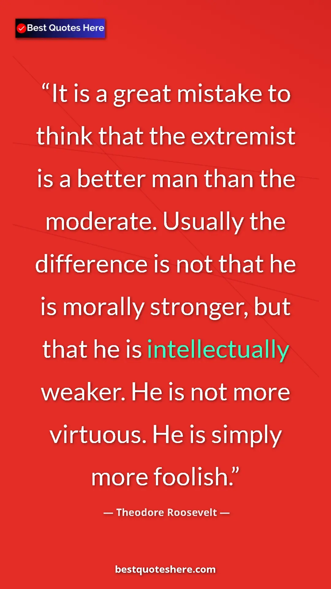 Pinterest quote poster by Theodore Roosevelt: "It is a great mistake to think that the extremist is a..."