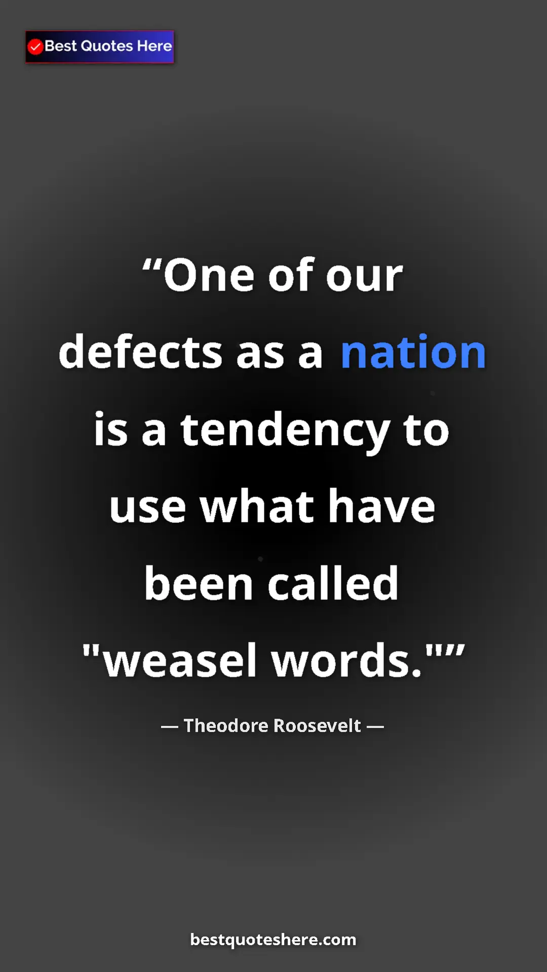 Pinterest quote poster by Theodore Roosevelt: "One of our defects as a nation is a tendency to use what hav"