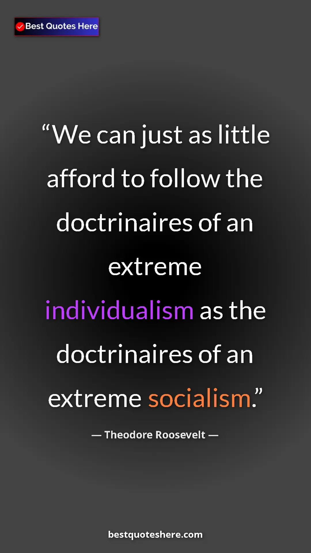 Pinterest quote poster by Theodore Roosevelt: "We can just as little afford to follow the doctrinaires of a"