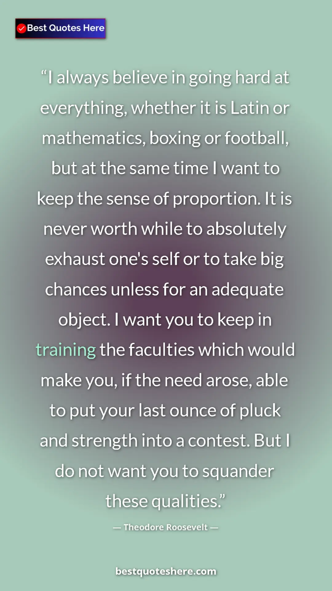 Pinterest quote poster by Theodore Roosevelt: "I always believe in going hard at everything, whether it is..."