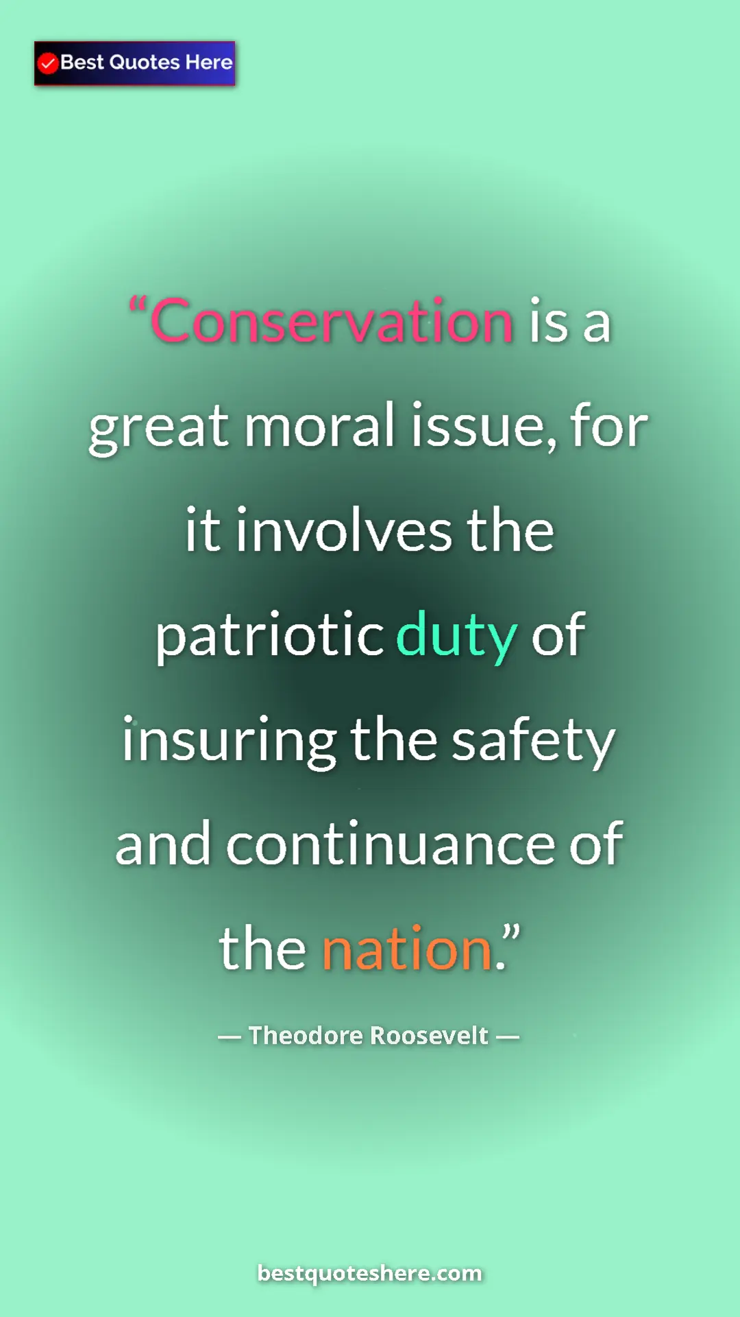 Pinterest quote poster by Theodore Roosevelt: "Conservation is a great moral issue, for it involves the..."