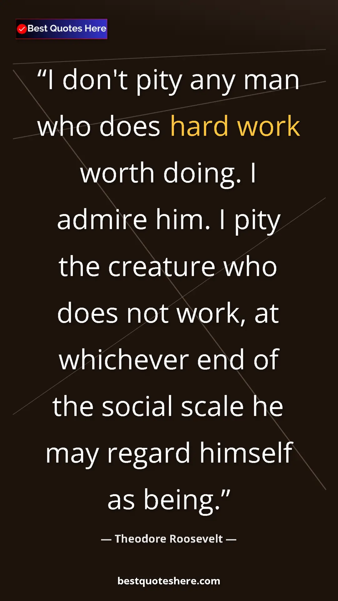 Theodore Roosevelt Quote Card: "I don't pity any man who does hard work worth doing. I..." Pinterest quote poster by Theodore Roosevelt: "I don't pity any man who does hard work worth doing. I..."