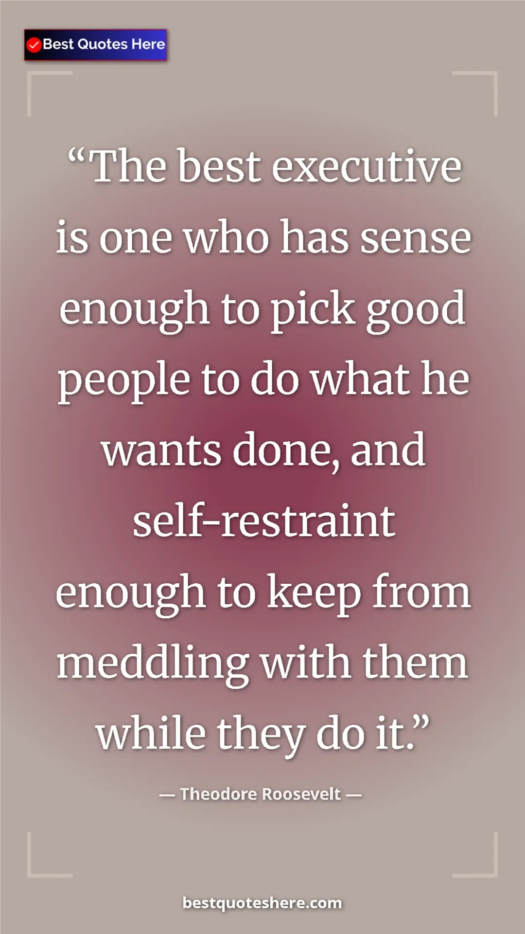 Pinterest quote poster by Theodore Roosevelt: "The best executive is one who has sense enough to pick good..."