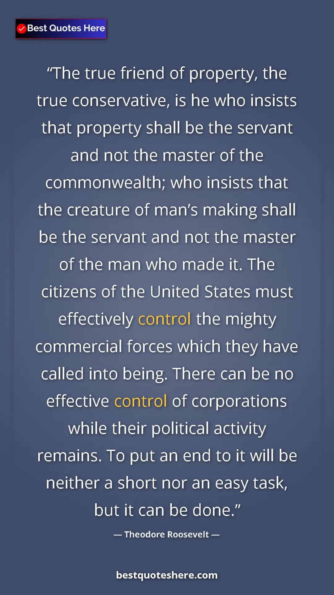 Pinterest quote poster by Theodore Roosevelt: "The true friend of property, the true conservative, is he..."
