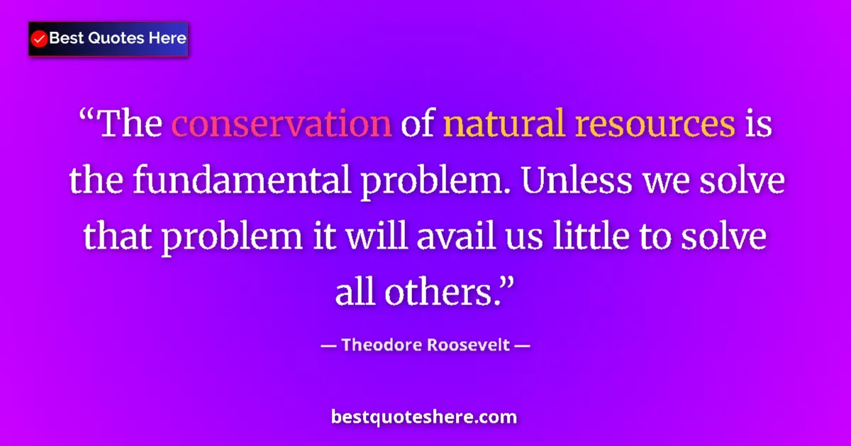 Quote by Theodore Roosevelt: The conservation of natural resources is the fundamental problem. Unless we solve that problem it wi...