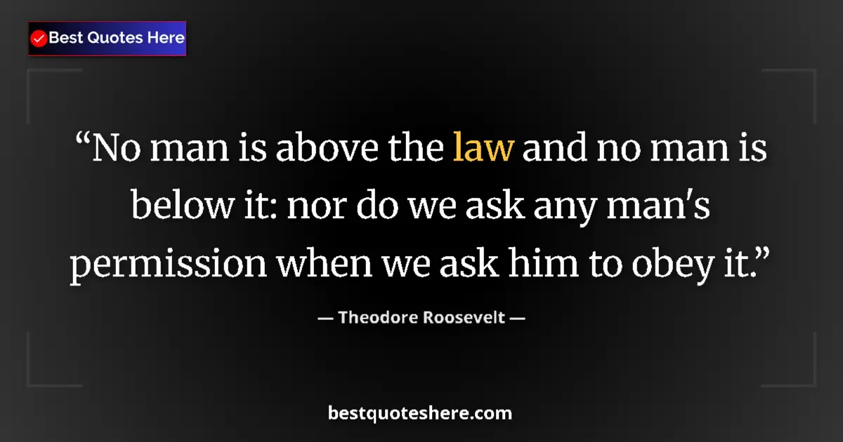 Quote by Theodore Roosevelt: No man is above the law and no man is below it: nor do we ask any man's permission when we ask him t...