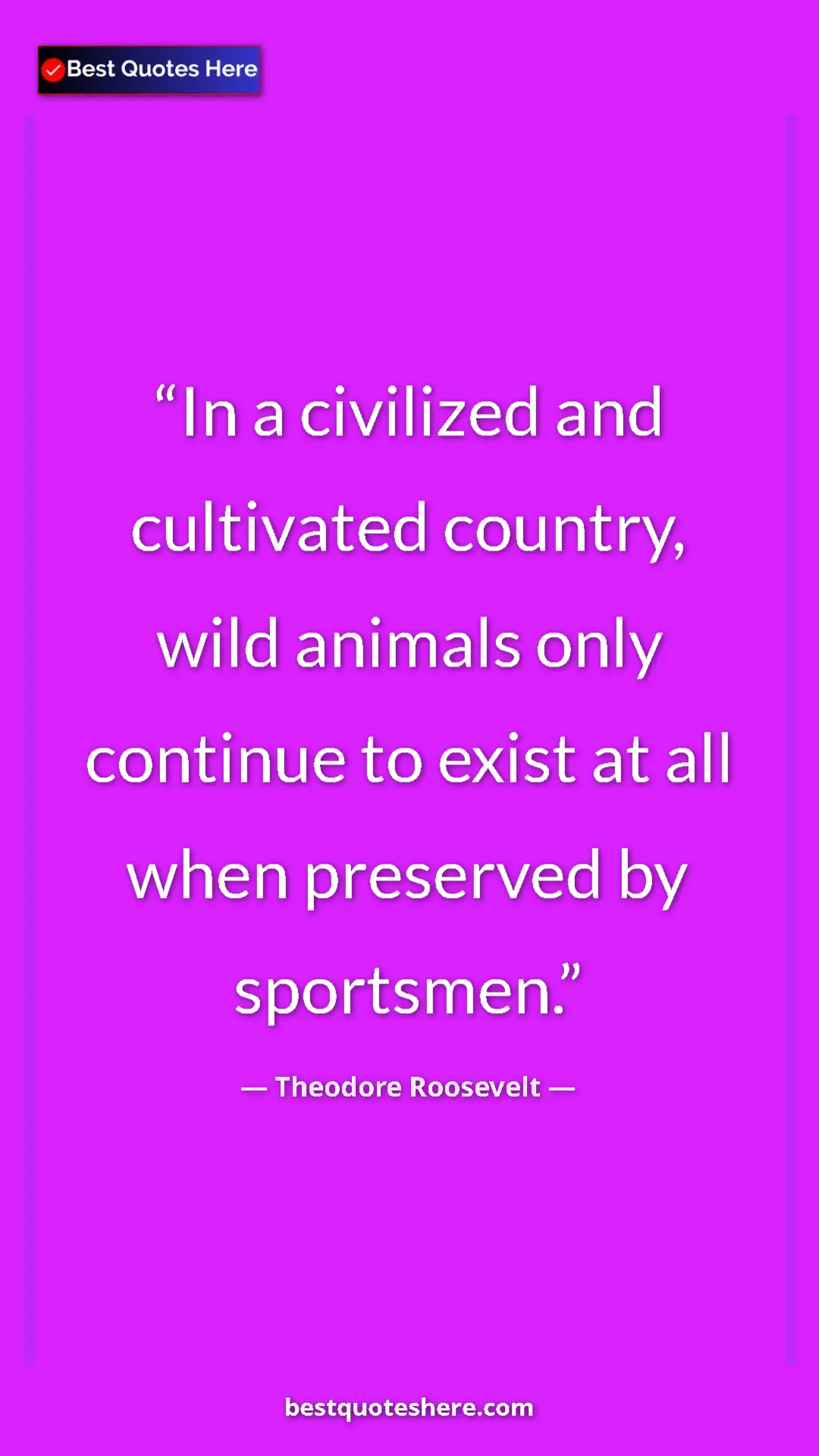 Theodore Roosevelt Quote Card: "In a civilized and cultivated country, wild animals only..." Pinterest quote poster by Theodore Roosevelt: "In a civilized and cultivated country, wild animals only..."