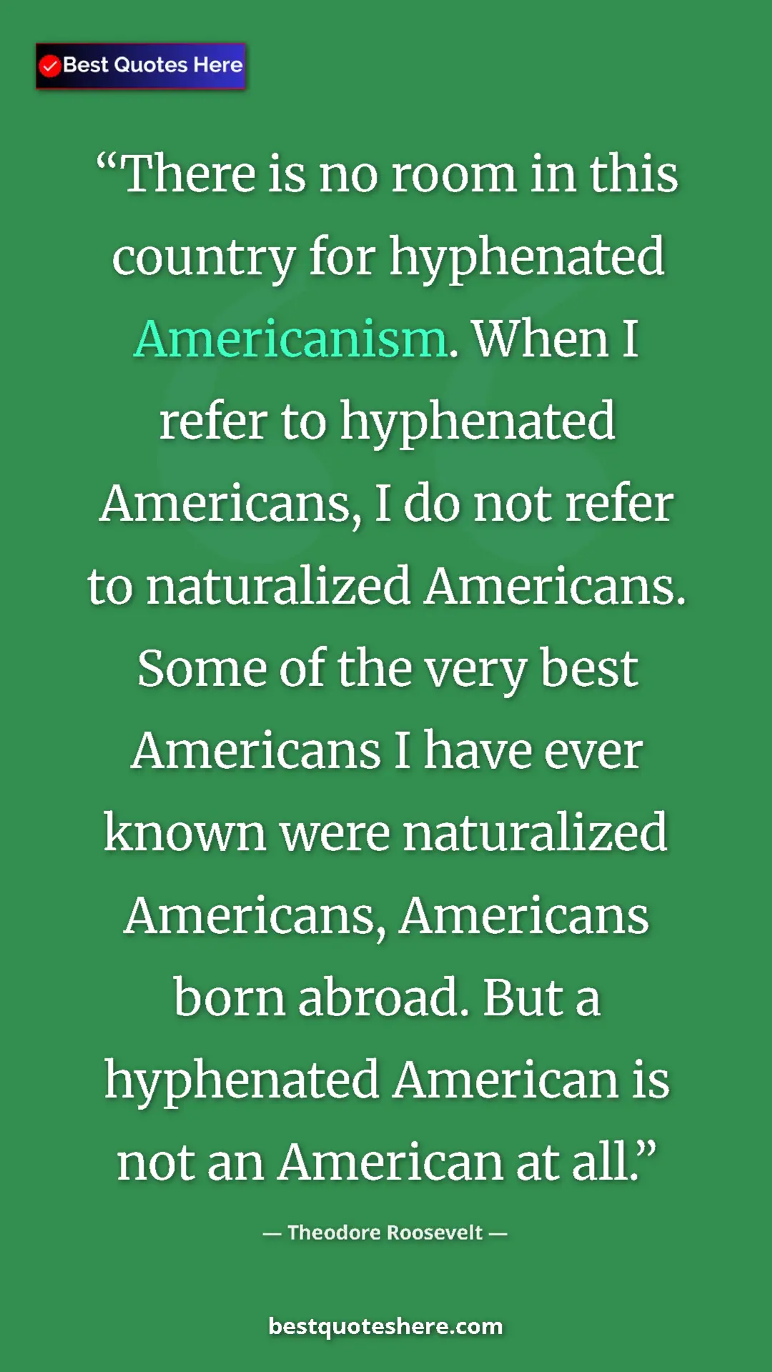 Theodore Roosevelt Quote Card: "There is no room in this country for hyphenated..." Pinterest quote poster by Theodore Roosevelt: "There is no room in this country for hyphenated..."
