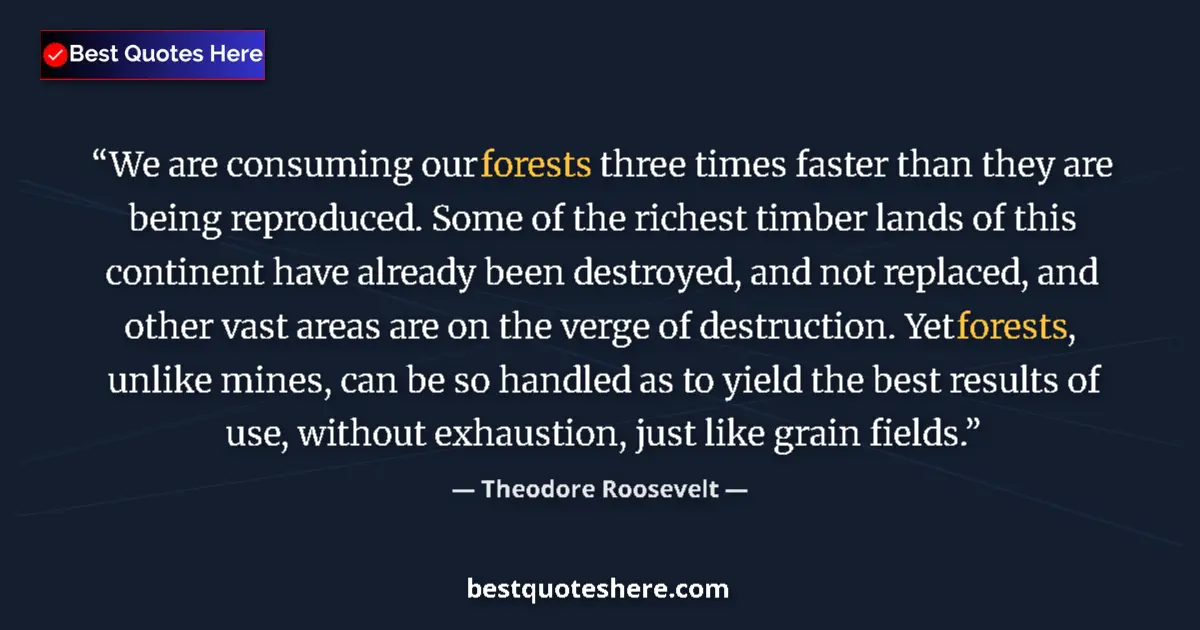 Quote by Theodore Roosevelt: We are consuming our forests three times faster than they are being reproduced. Some of the richest ...