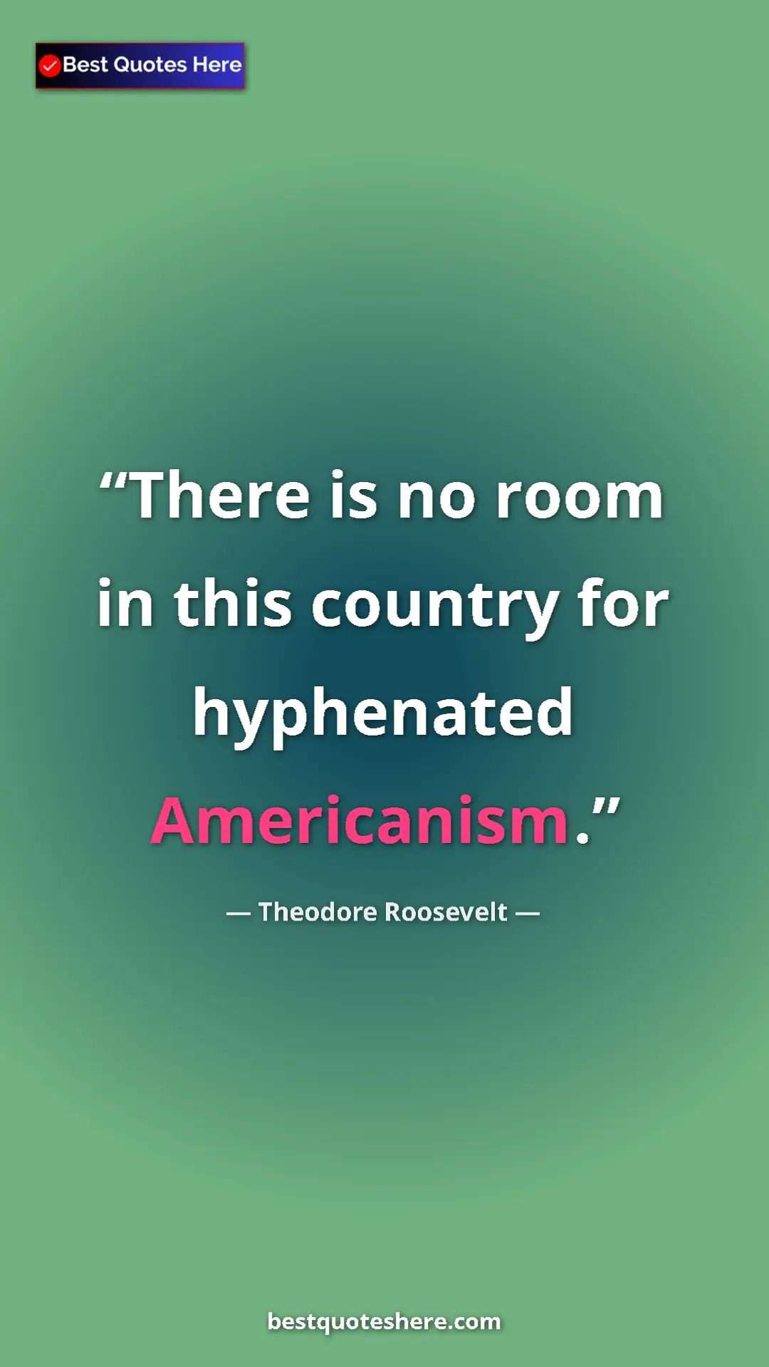 Pinterest quote poster by Theodore Roosevelt: "There is no room in this country for hyphenated Americanism."