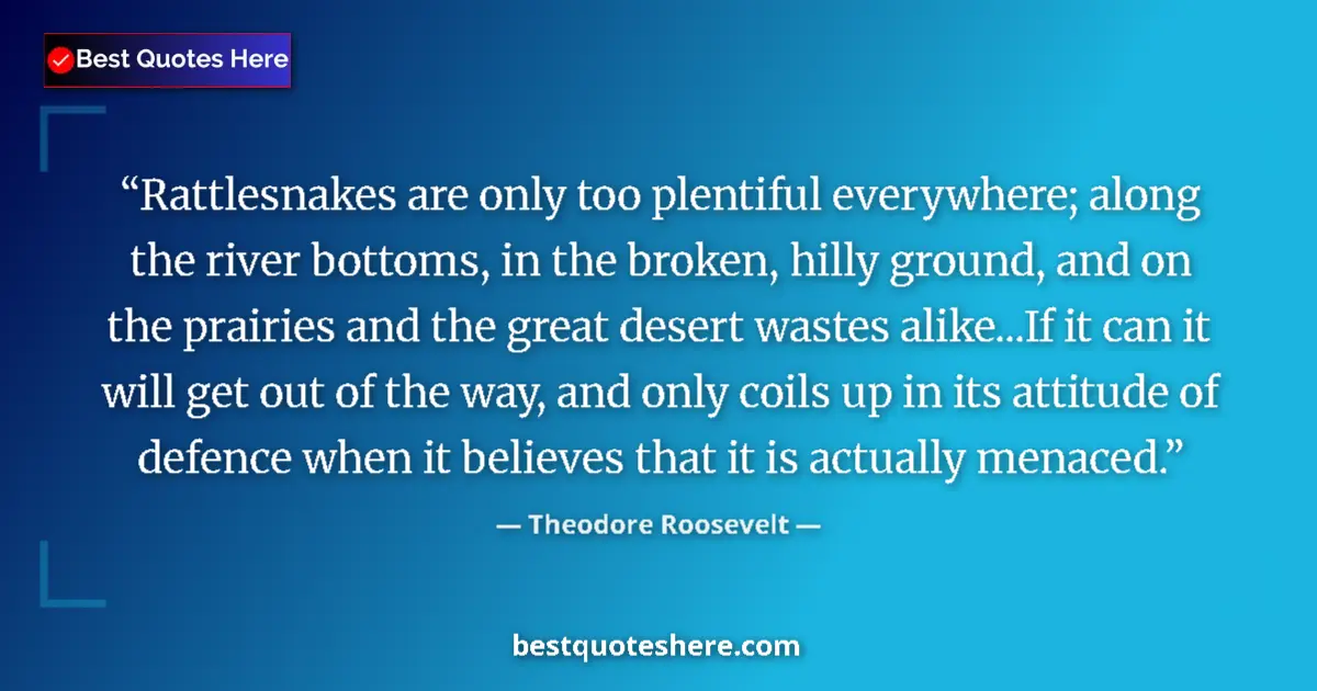 Quote by Theodore Roosevelt: Rattlesnakes are only too plentiful everywhere; along the river bottoms, in the broken, hilly ground...
