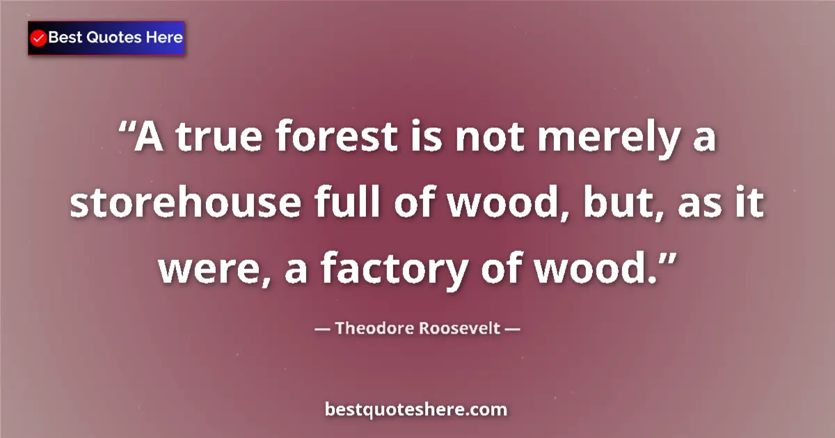 Quote by Theodore Roosevelt: A true forest is not merely a storehouse full of wood, but, as it were, a factory of wood....