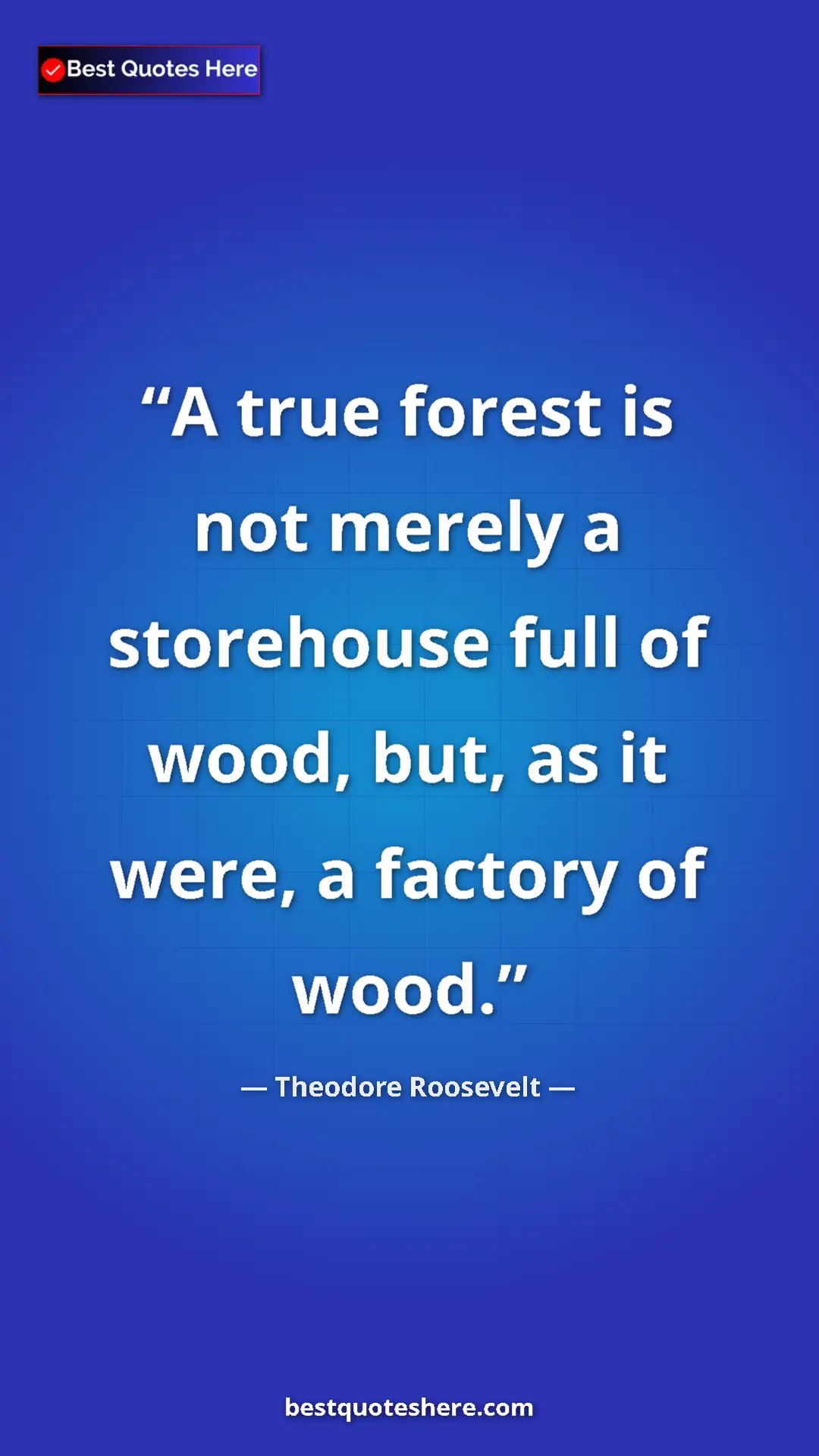 Theodore Roosevelt Quote Card: "A true forest is not merely a storehouse full of wood, but,..." Pinterest quote poster by Theodore Roosevelt: "A true forest is not merely a storehouse full of wood, but,..."
