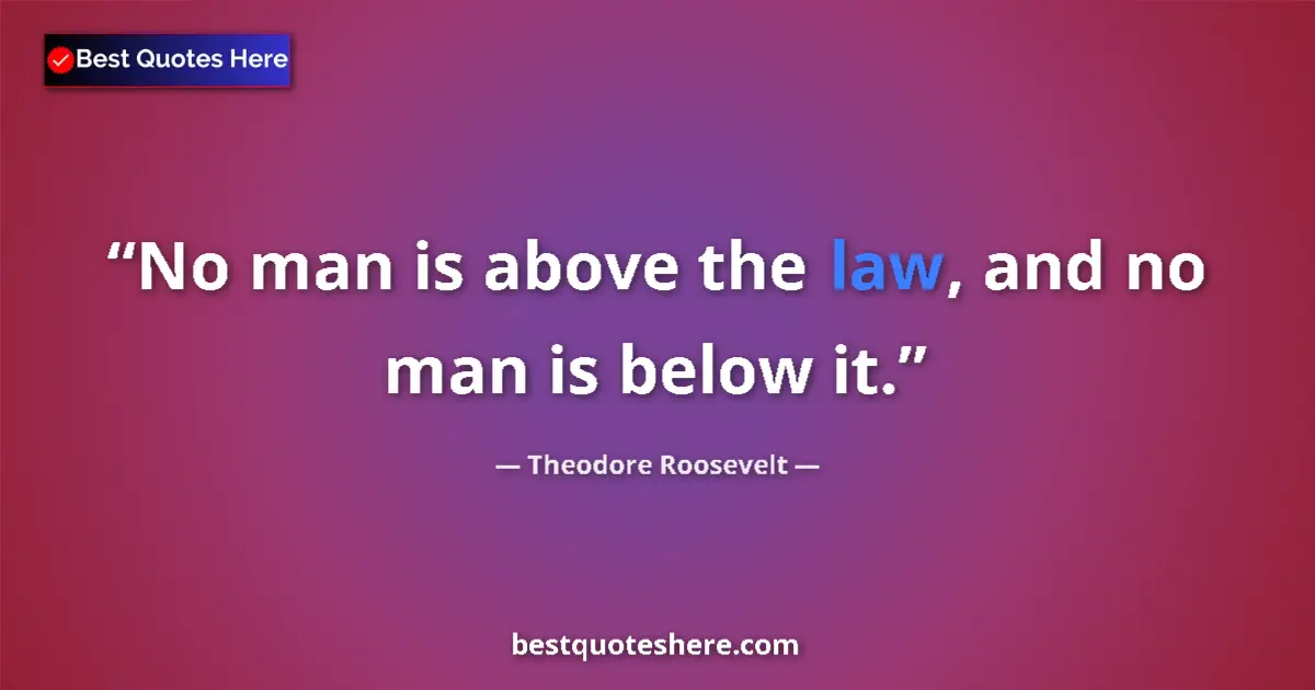 Image for the quote by Theodore Roosevelt: No man is above the law, and no man is below it....