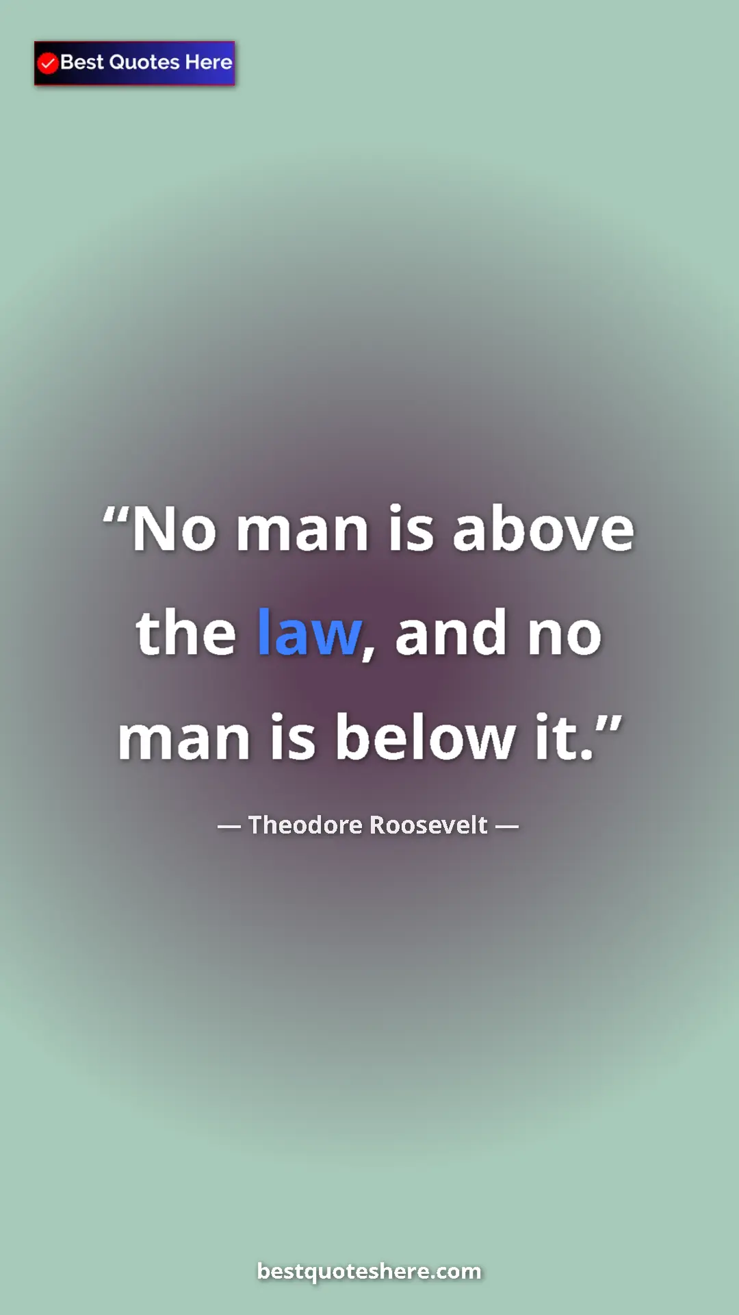 Pinterest quote poster by Theodore Roosevelt: "No man is above the law, and no man is below it."