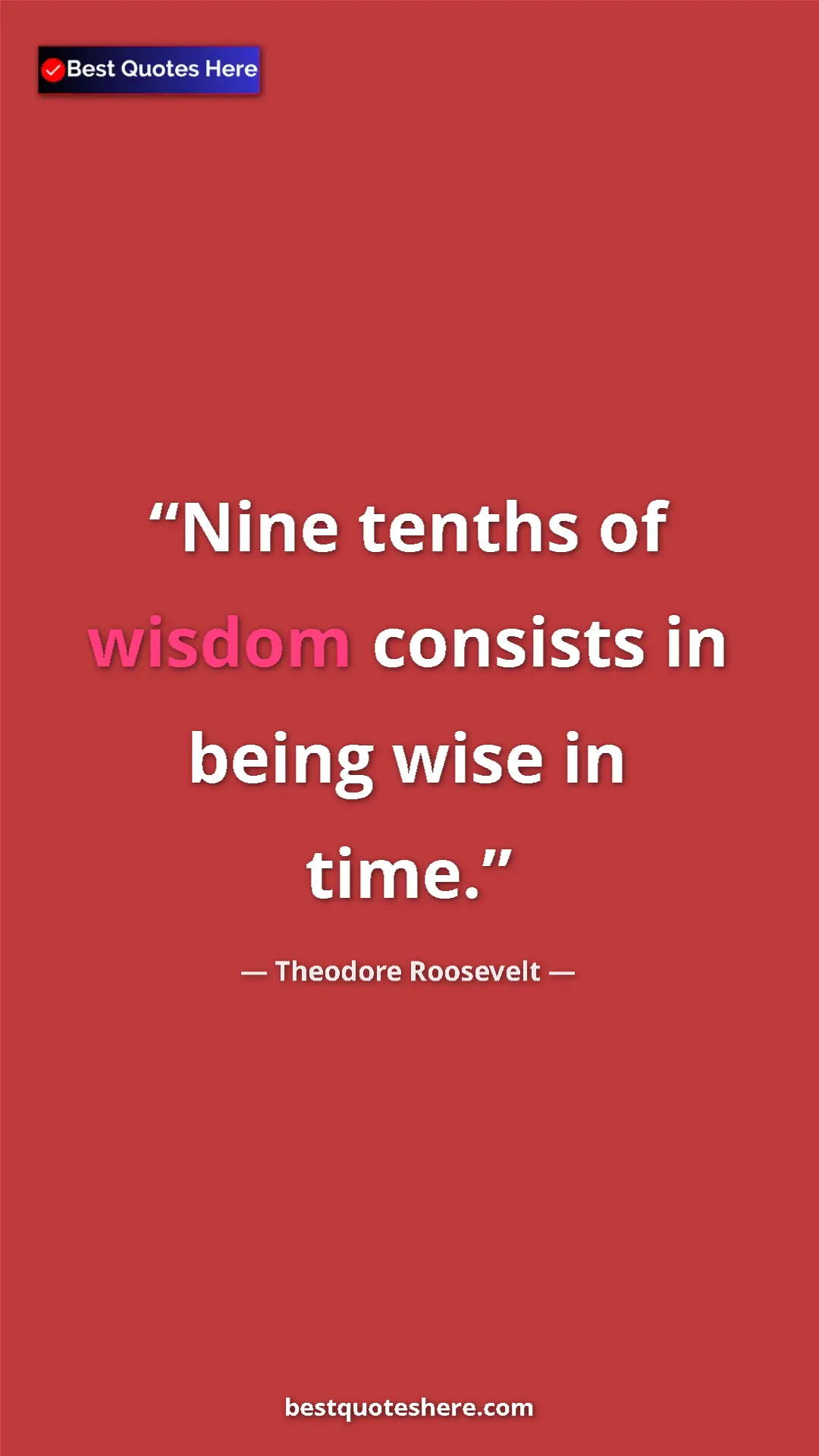Theodore Roosevelt Quote Card: "Nine tenths of wisdom consists in being wise in time." Pinterest quote poster by Theodore Roosevelt: "Nine tenths of wisdom consists in being wise in time."
