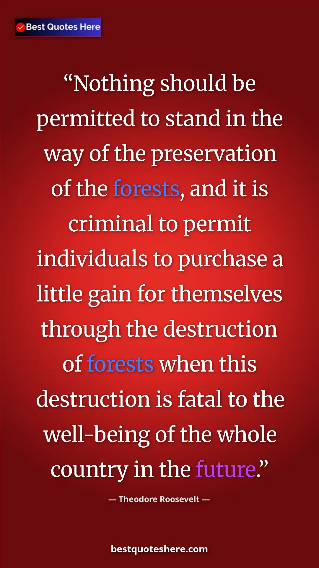 Theodore Roosevelt Quote Card: "Nothing should be permitted to stand in the way of the..." Pinterest quote poster by Theodore Roosevelt: "Nothing should be permitted to stand in the way of the..."