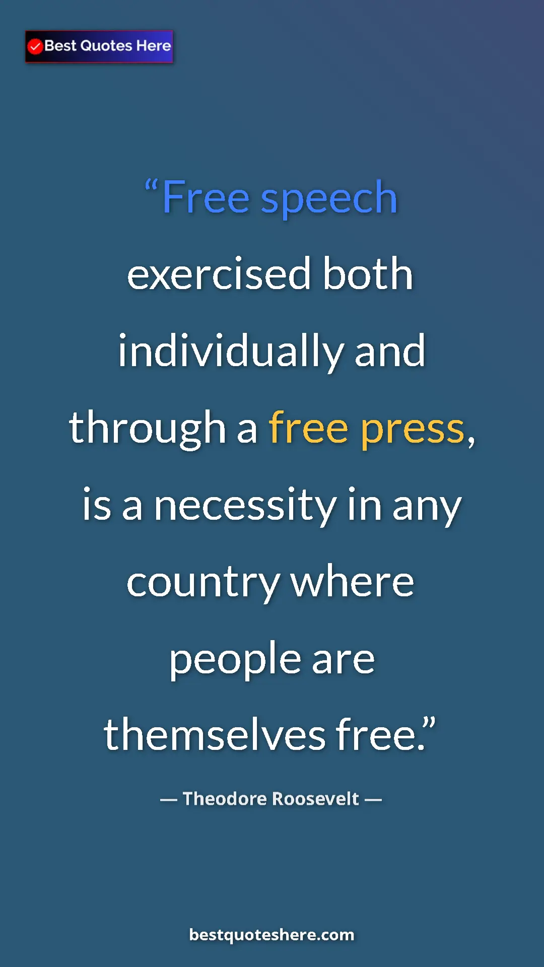 Pinterest quote poster by Theodore Roosevelt: "Free speech exercised both individually and through a free..."