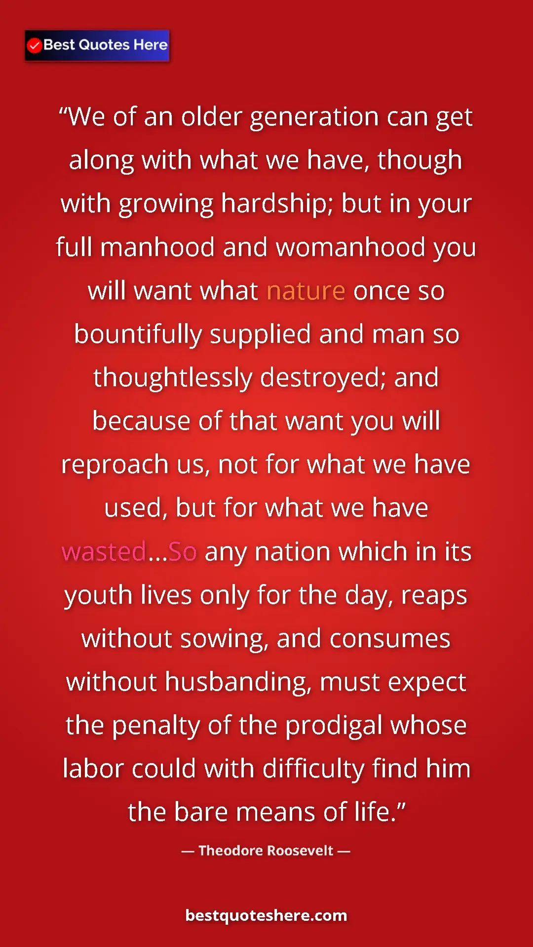 Pinterest quote poster by Theodore Roosevelt: "We of an older generation can get along with what we have,..."