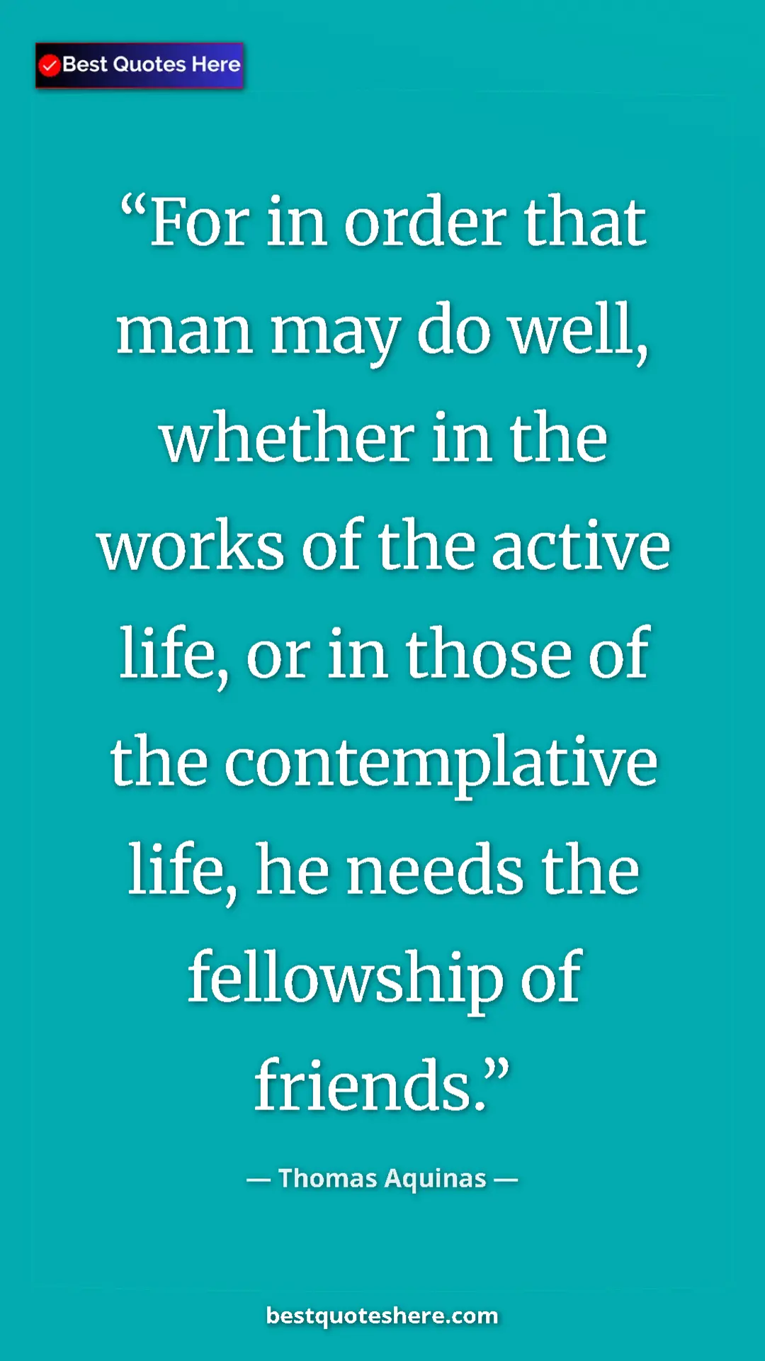 Pinterest quote poster by Thomas Aquinas: "For in order that man may do well, whether in the works of..."