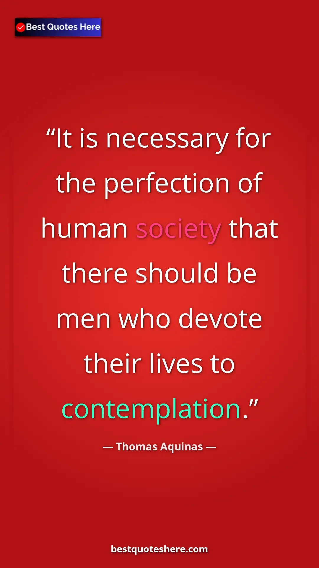 Pinterest quote poster by Thomas Aquinas: "It is necessary for the perfection of human society that..."