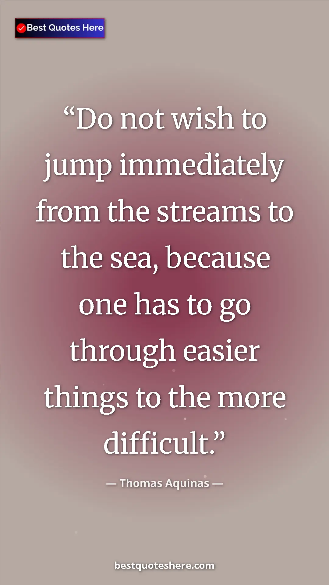 Pinterest quote poster by Thomas Aquinas: "Do not wish to jump immediately from the streams to the..."