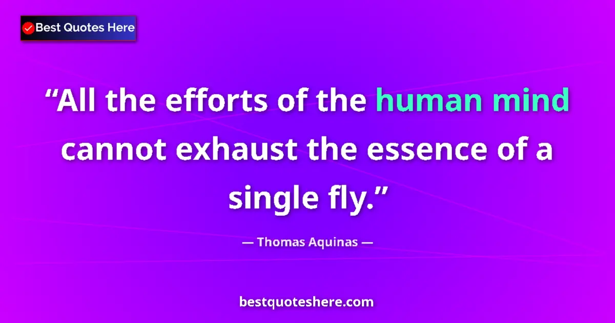 Quote by Thomas Aquinas: All the efforts of the human mind cannot exhaust the essence of a single fly....