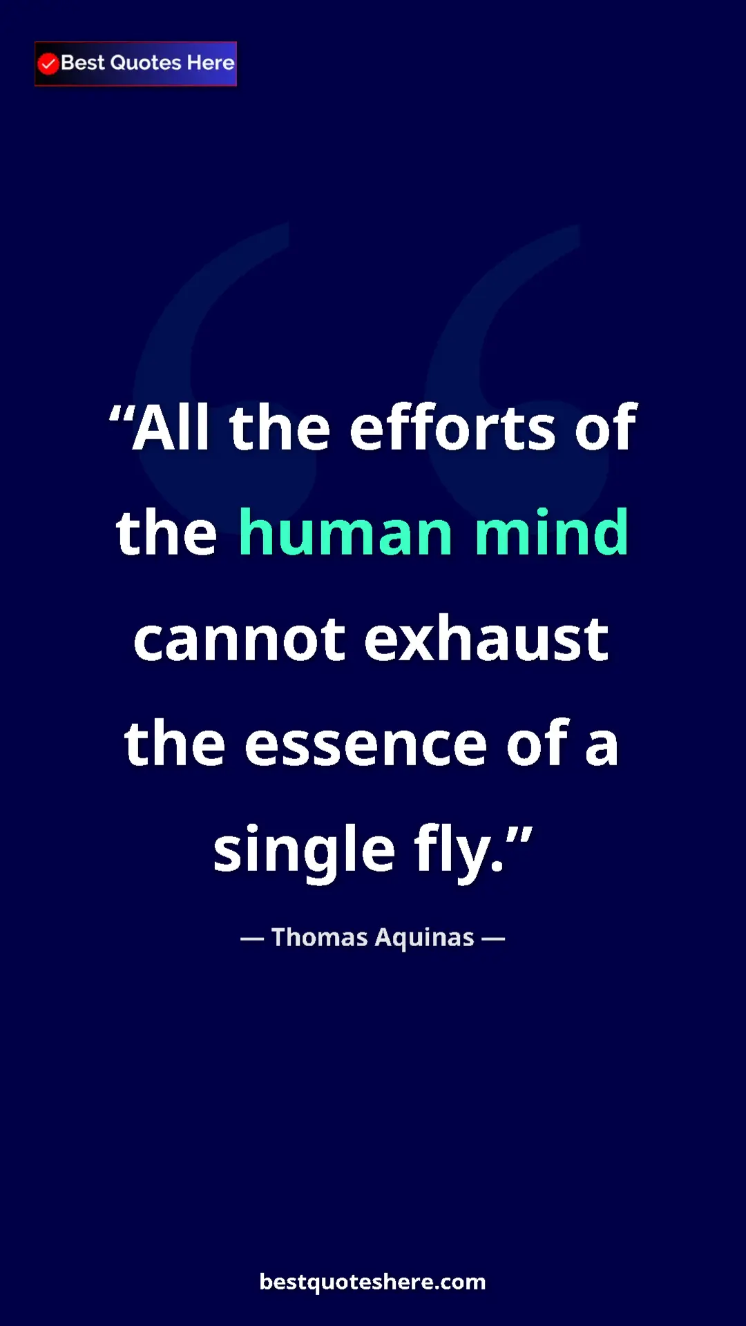 Thomas Aquinas Quote Card: "All the efforts of the human mind cannot exhaust the..." Pinterest quote poster by Thomas Aquinas: "All the efforts of the human mind cannot exhaust the..."