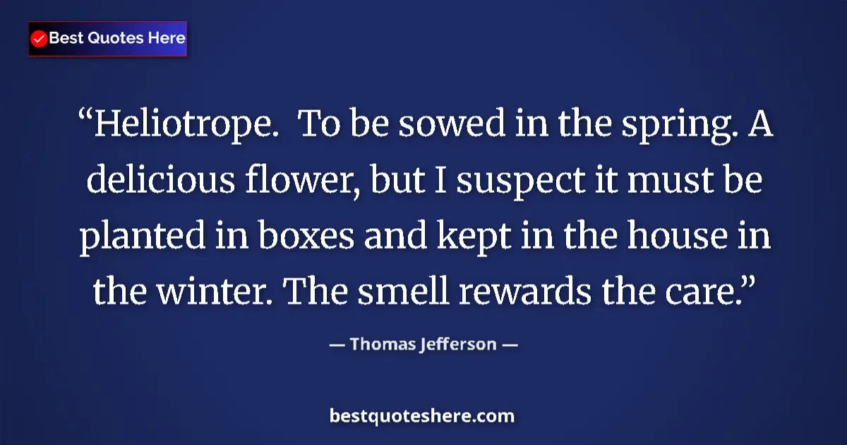 Quote by Thomas Jefferson: Heliotrope.  To be sowed in the spring. A delicious flower, but I suspect it must be planted in boxe...