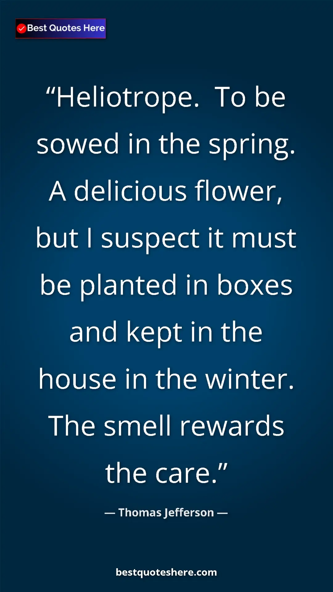 Pinterest quote poster by Thomas Jefferson: "Heliotrope.  To be sowed in the spring. A delicious flower,..."