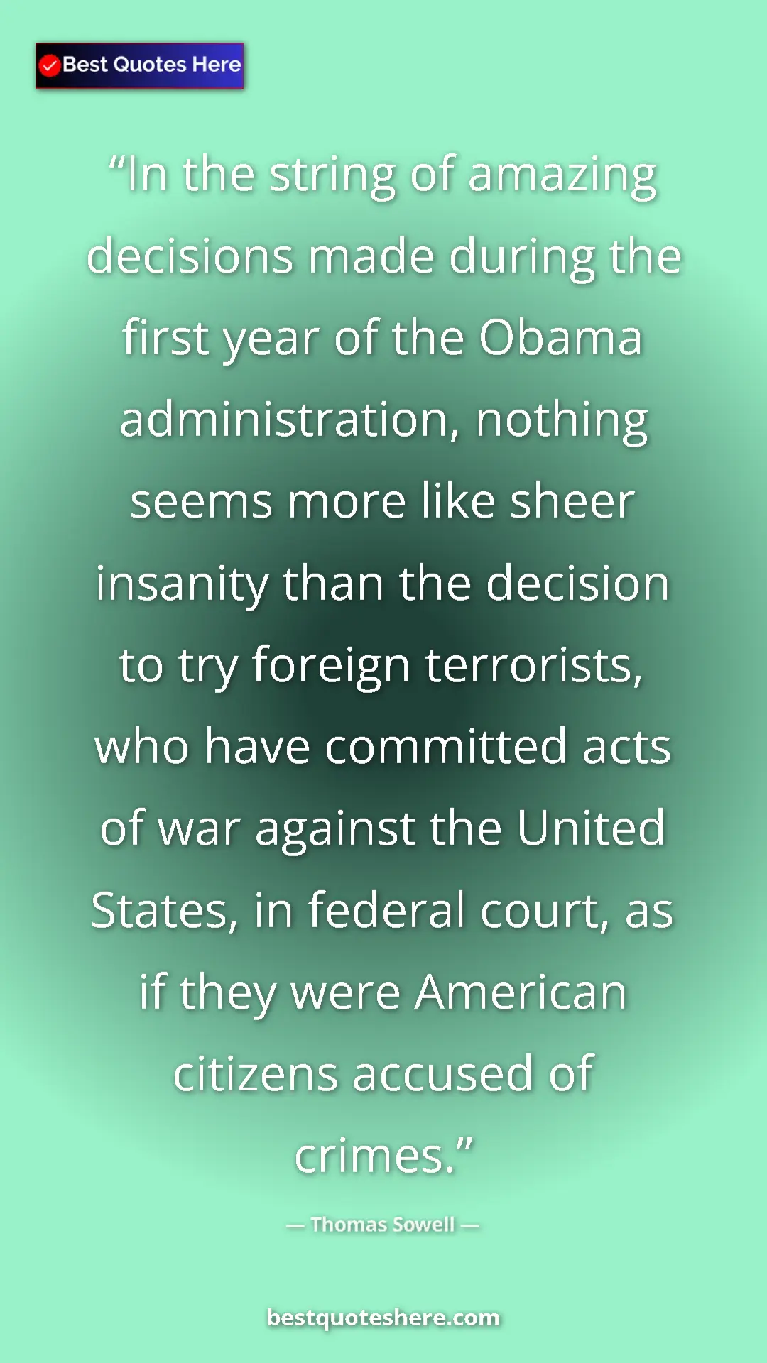Pinterest quote poster by Thomas Sowell: "In the string of amazing decisions made during the first..."