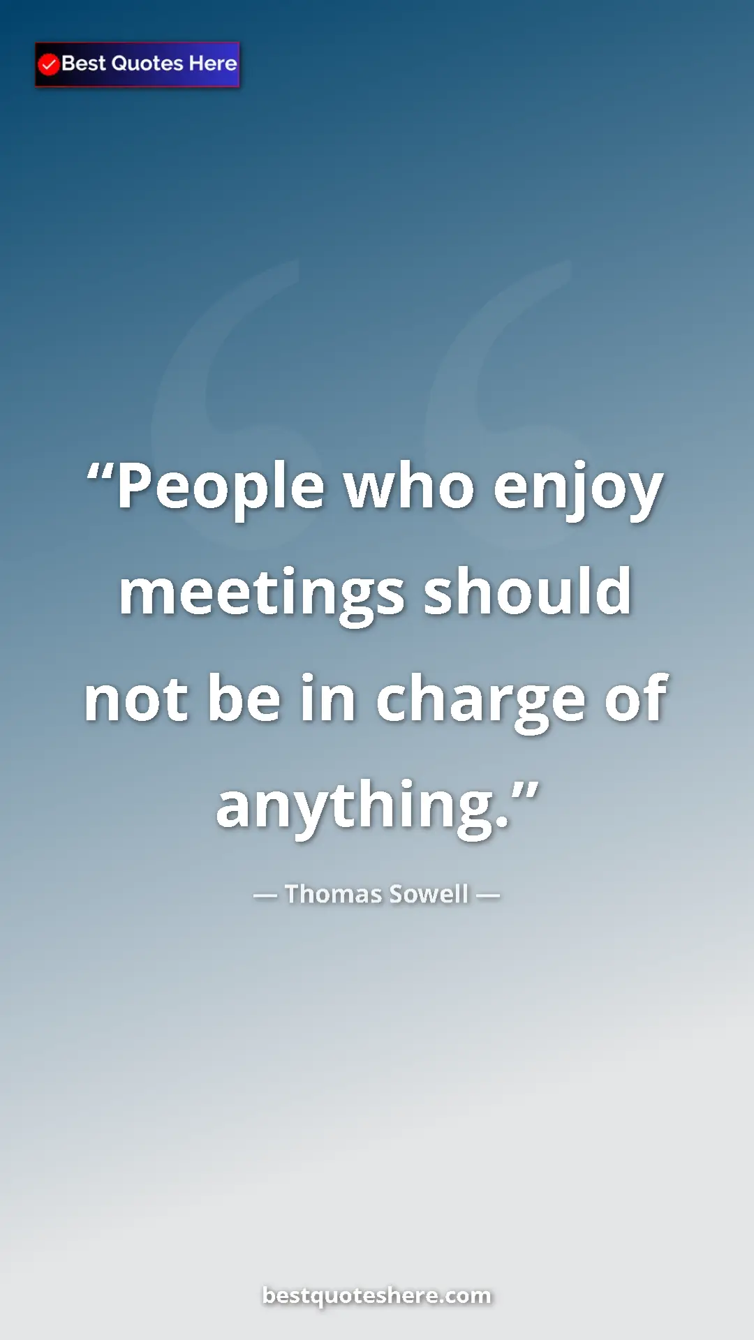 Pinterest quote poster by Thomas Sowell: "People who enjoy meetings should not be in charge of..."