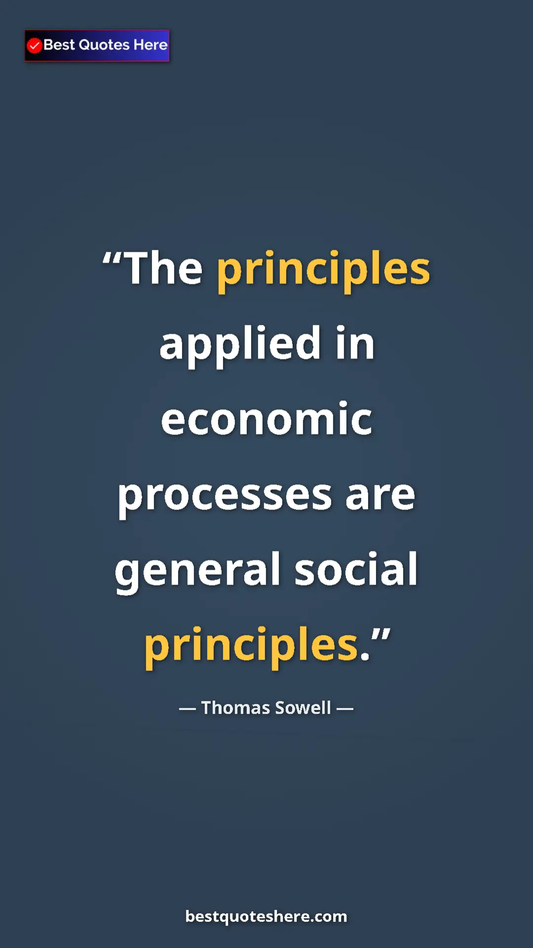 Pinterest quote poster by Thomas Sowell: "The principles applied in economic processes are general..."