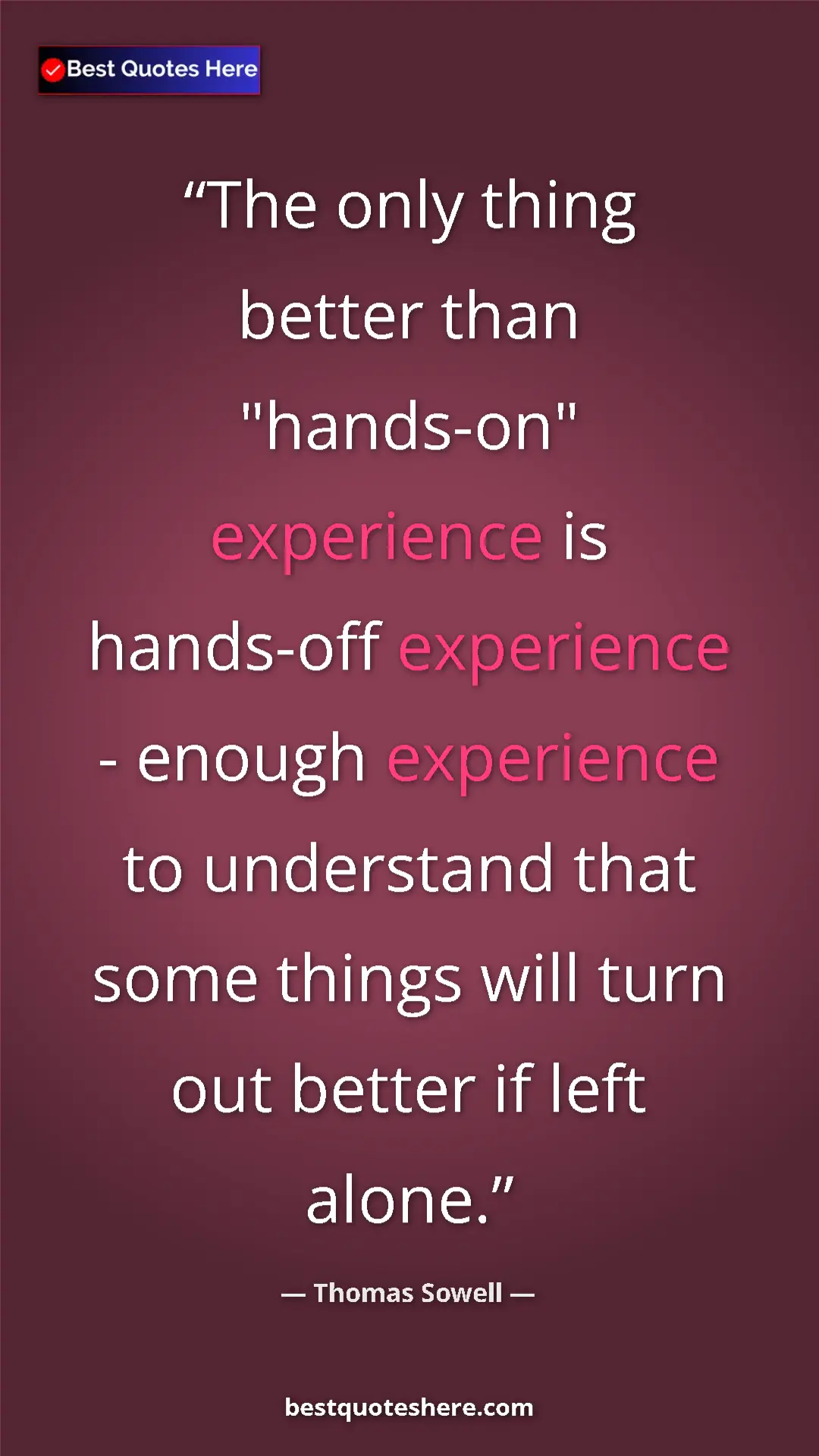Pinterest quote poster by Thomas Sowell: "The only thing better than "hands-on" experience is..."