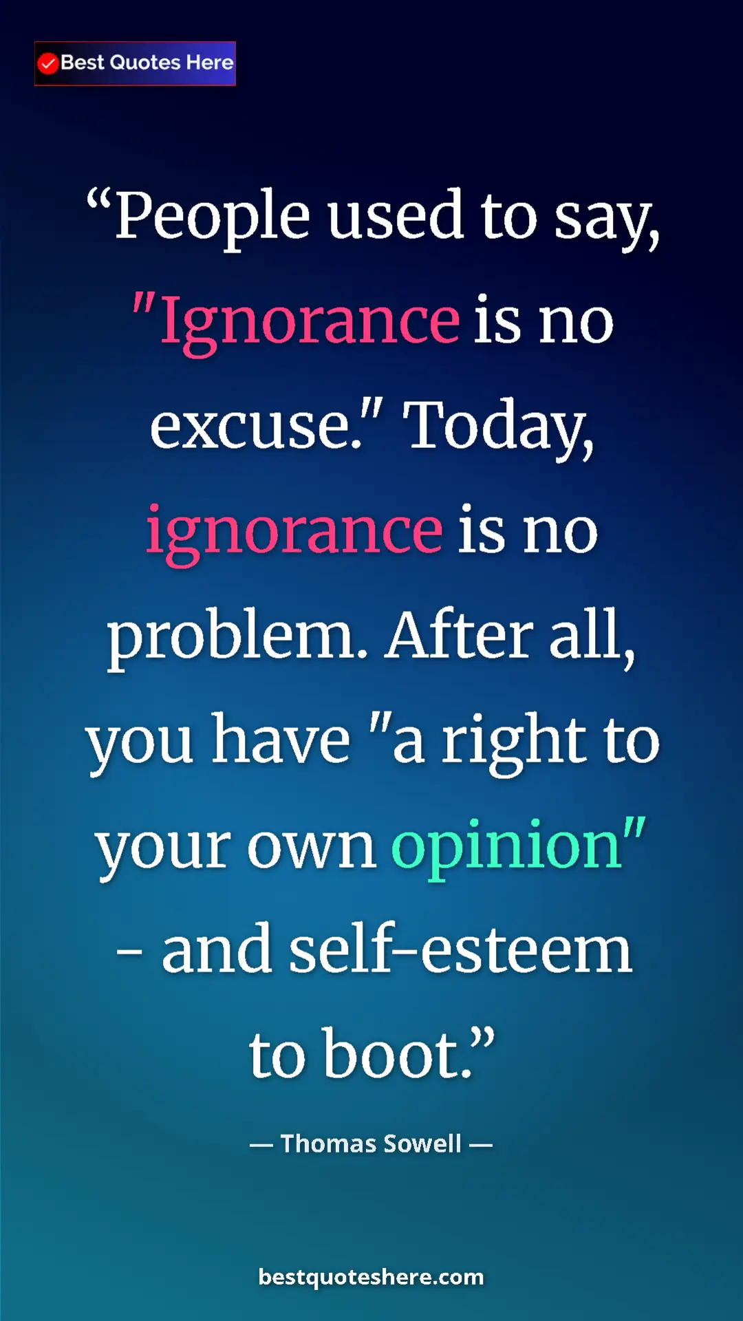 Pinterest quote poster by Thomas Sowell: "People used to say, "Ignorance is no excuse." Today,..."