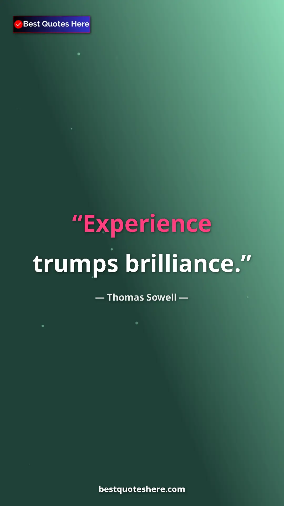 Pinterest quote poster by Thomas Sowell: "Experience trumps brilliance."