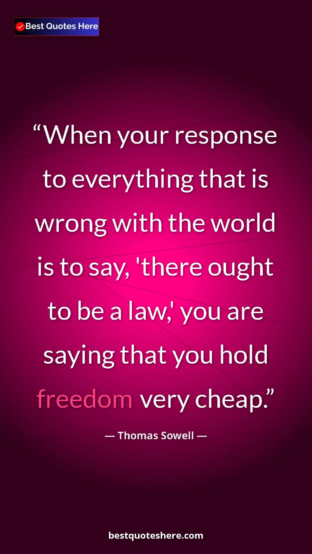 Pinterest quote poster by Thomas Sowell: "When your response to everything that is wrong with the..."