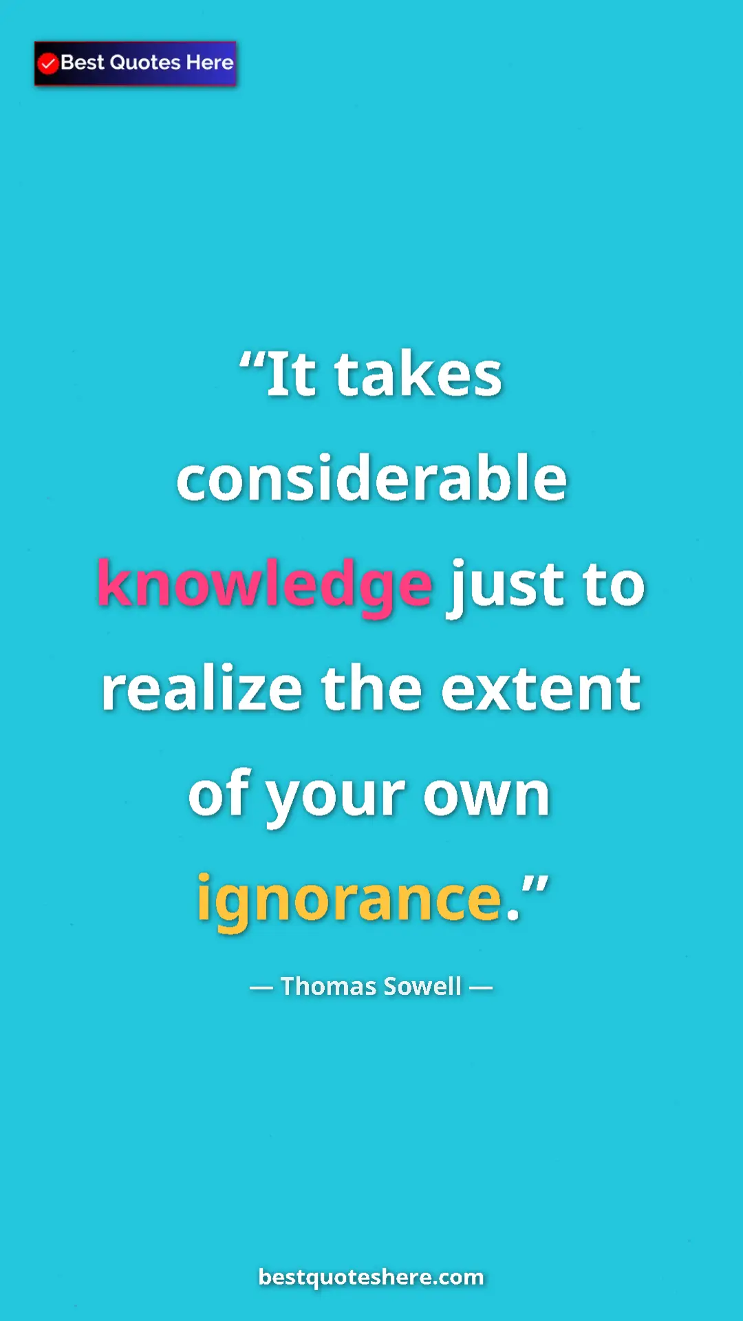 Pinterest quote poster by Thomas Sowell: "It takes considerable knowledge just to realize the extent..."