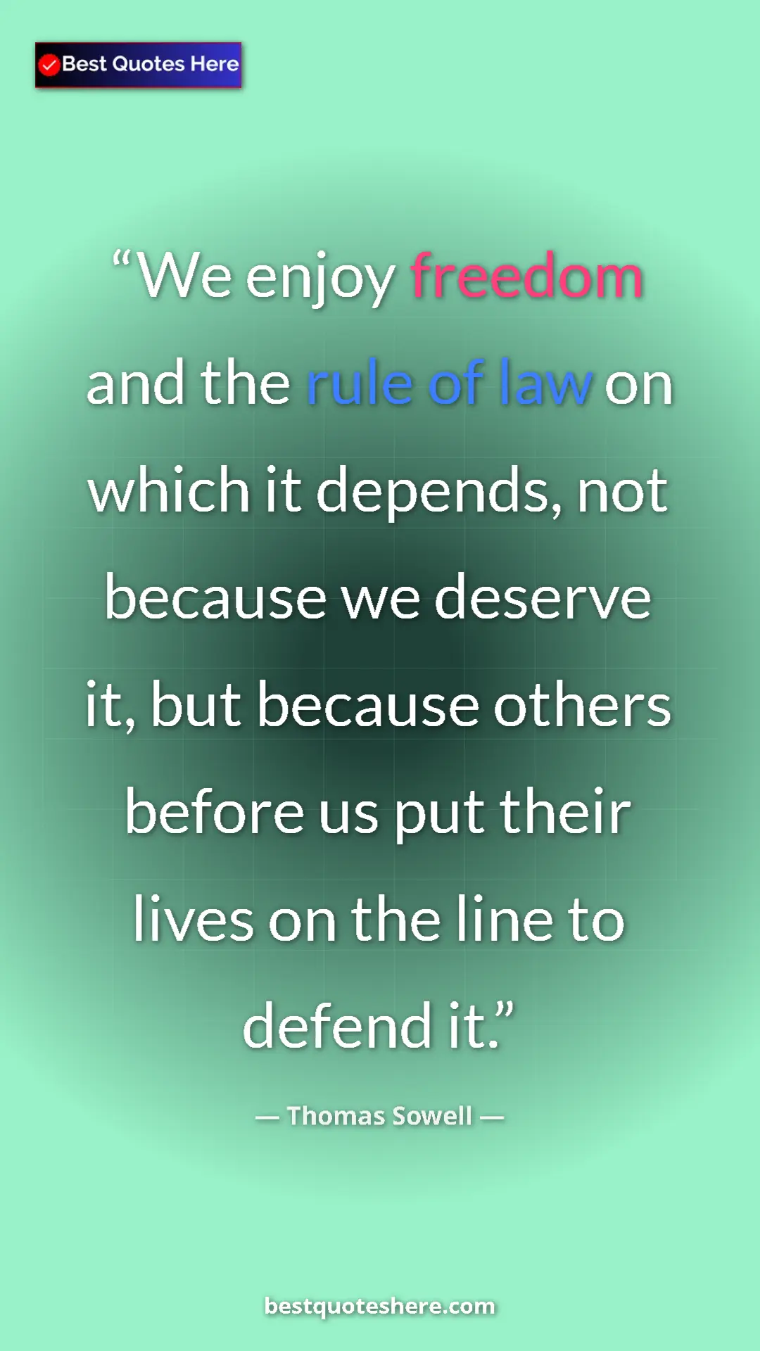 Pinterest quote poster by Thomas Sowell: "We enjoy freedom and the rule of law on which it depends,..."