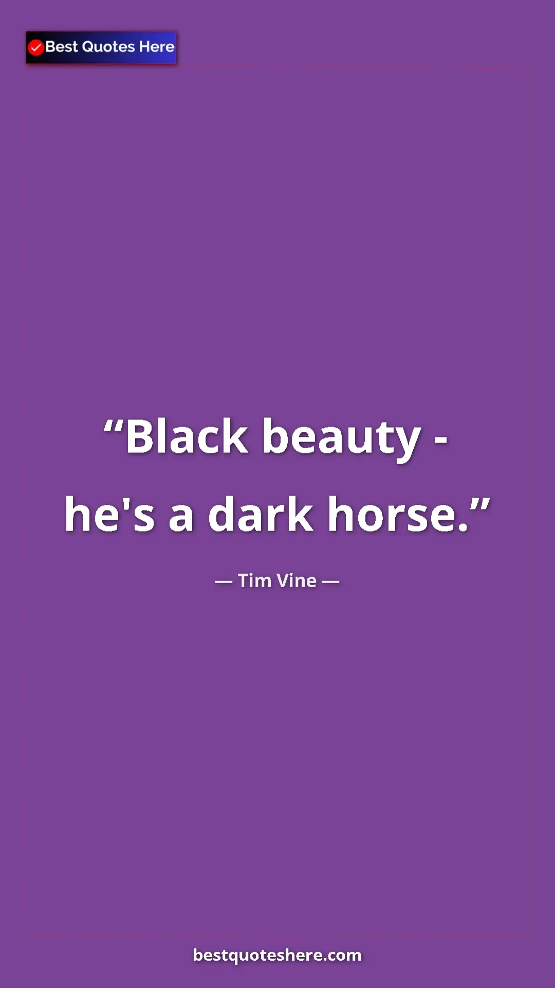 Pinterest quote poster by Tim Vine: "Black beauty - he's a dark horse."