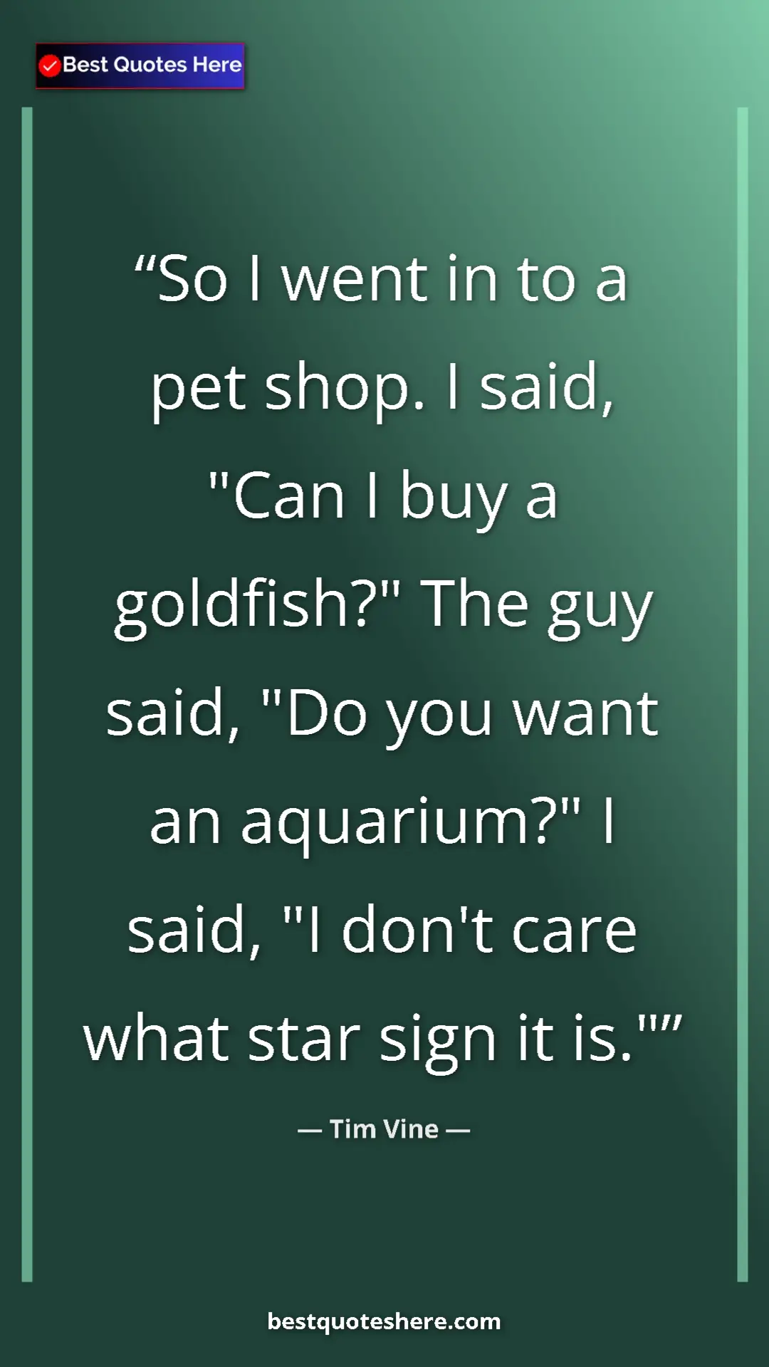 Pinterest quote poster by Tim Vine: "So I went in to a pet shop. I said, "Can I buy a goldfish?"..."