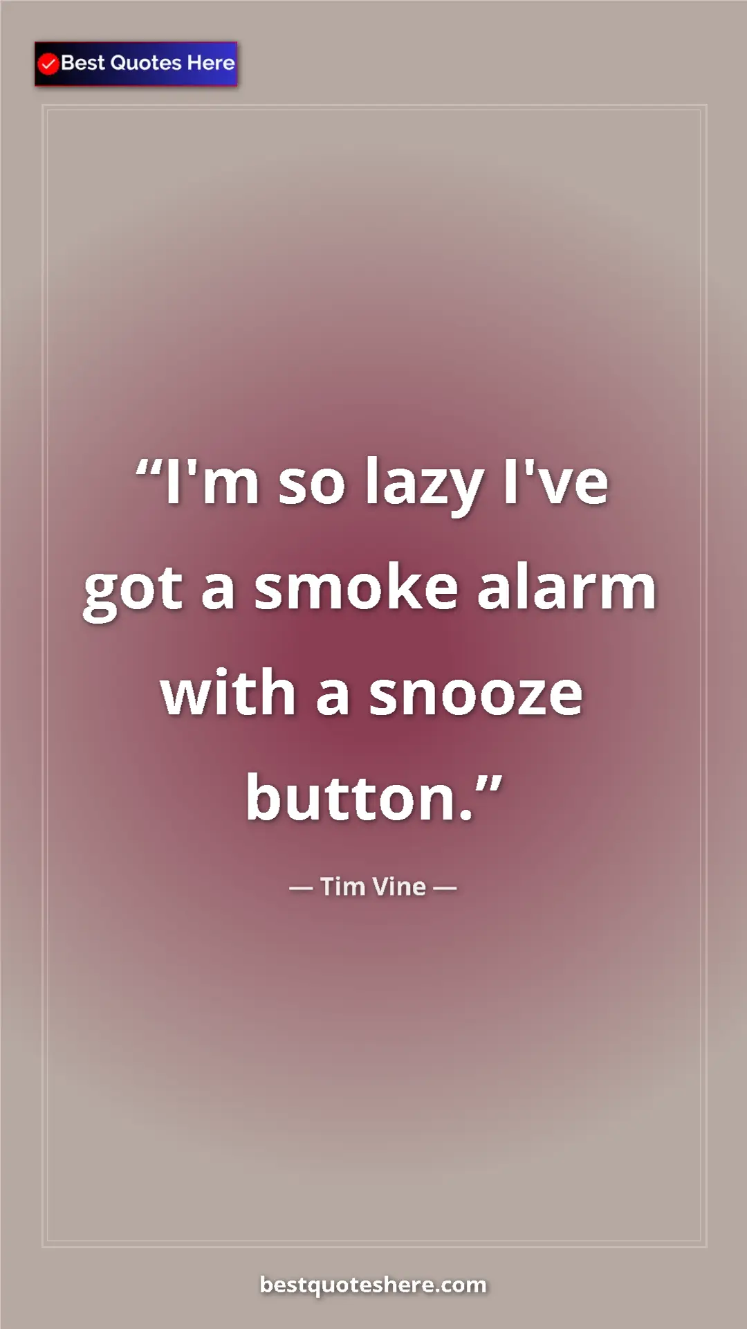 Pinterest quote poster by Tim Vine: "I'm so lazy I've got a smoke alarm with a snooze button."