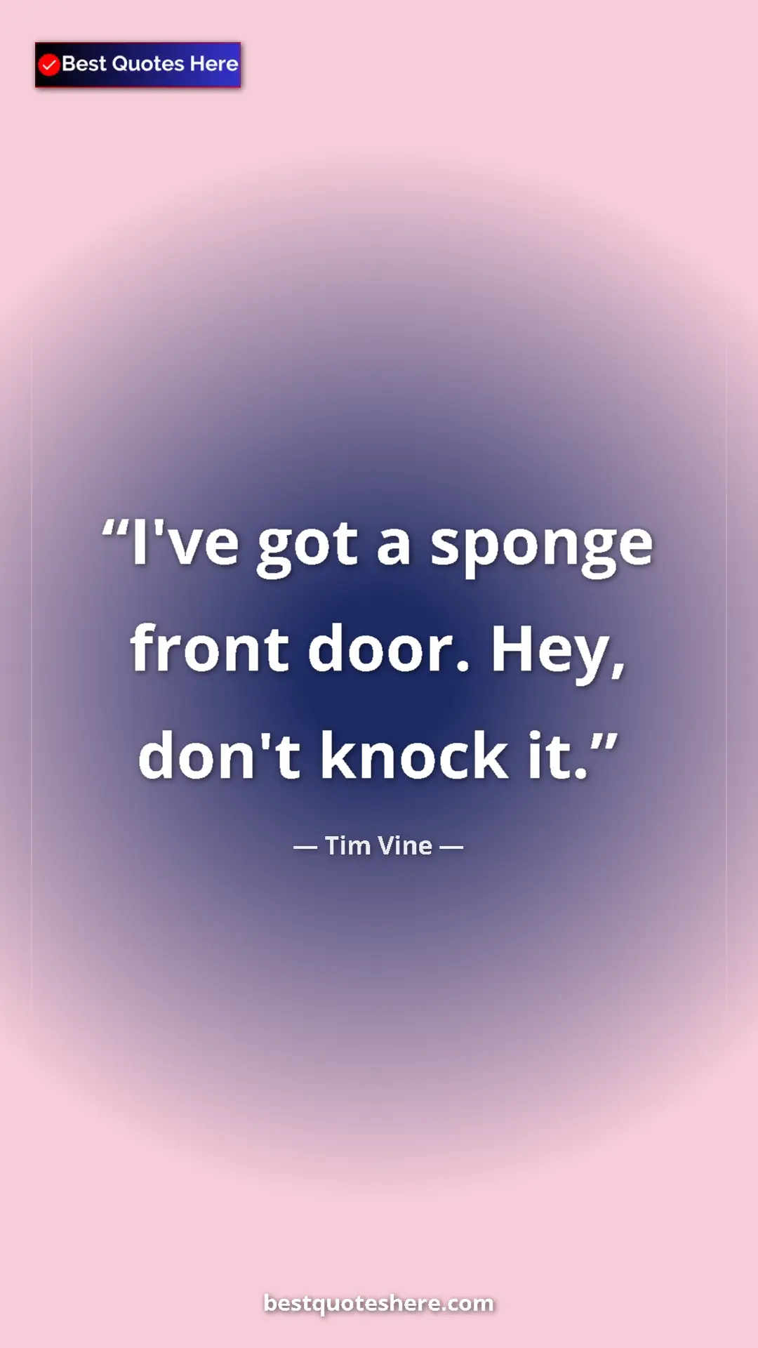 Pinterest quote poster by Tim Vine: "I've got a sponge front door. Hey, don't knock it."