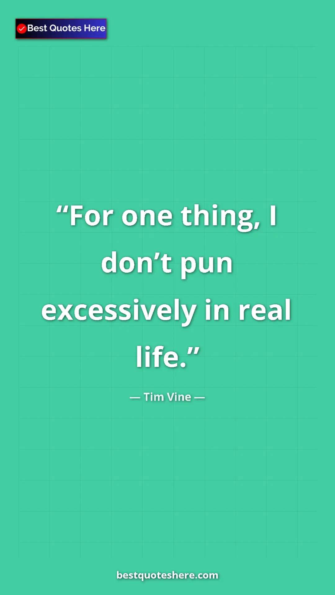 Pinterest quote poster by Tim Vine: "For one thing, I don’t pun excessively in real life."