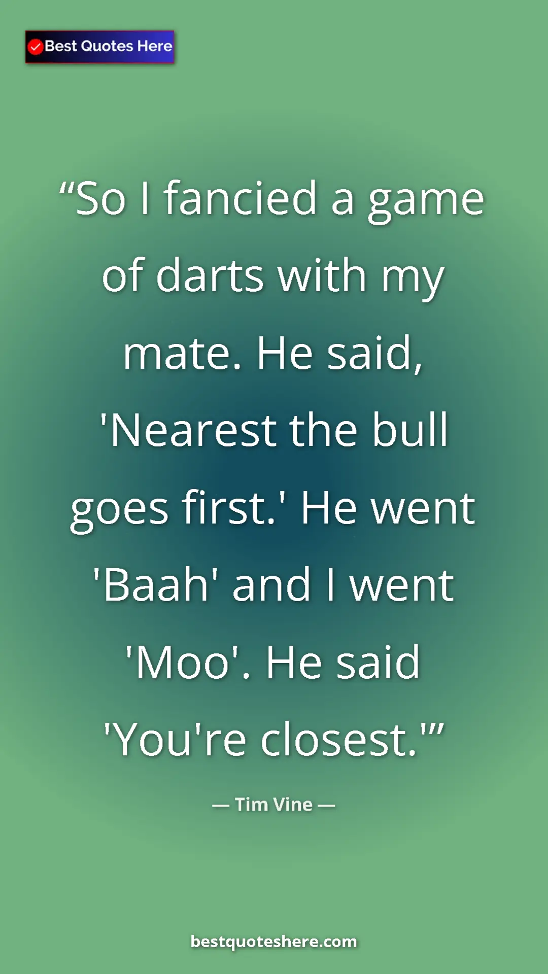 Pinterest quote poster by Tim Vine: "So I fancied a game of darts with my mate. He said,..."