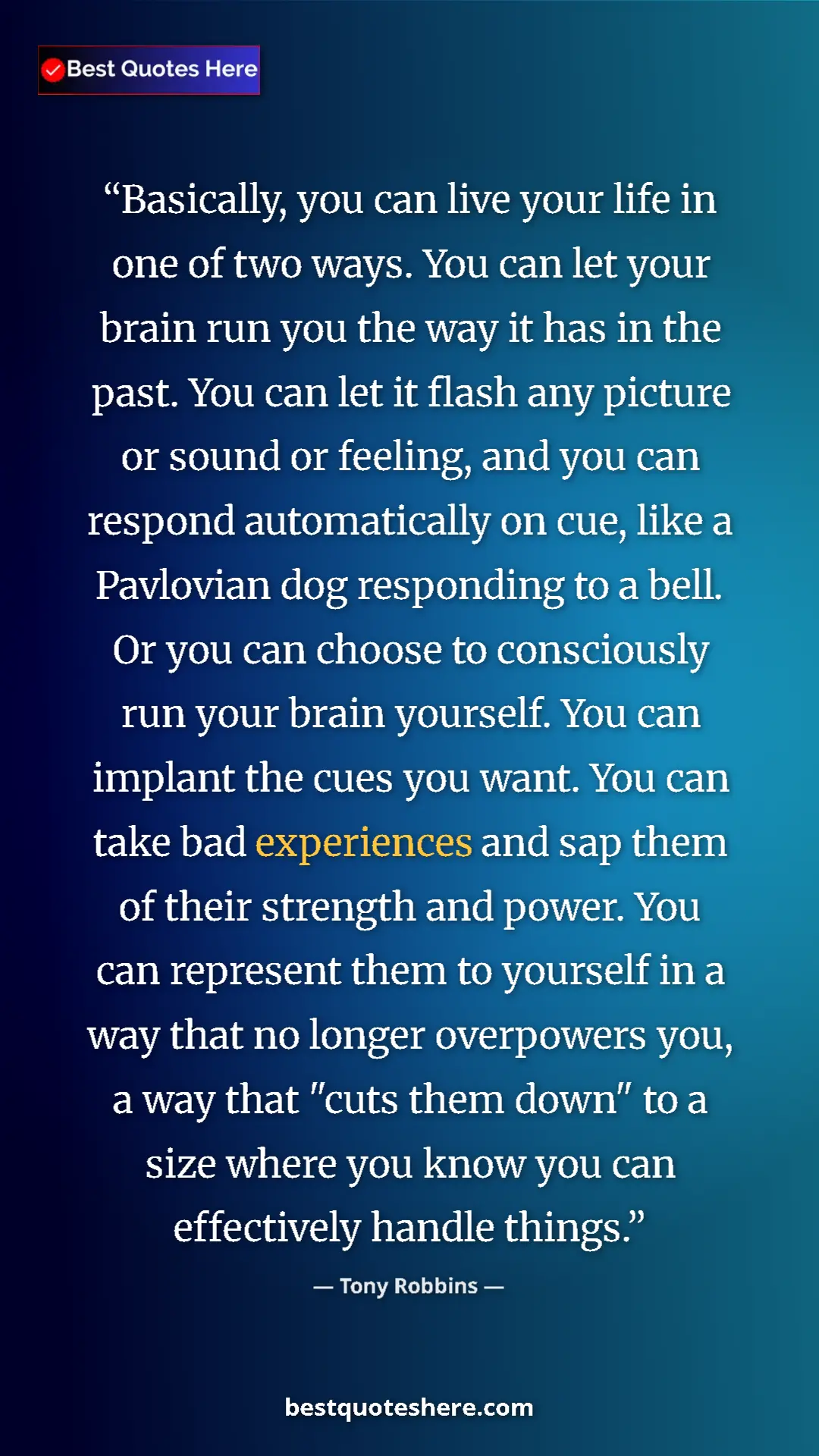 Pinterest quote poster by Tony Robbins: "Basically, you can live your life in one of two ways. You..."