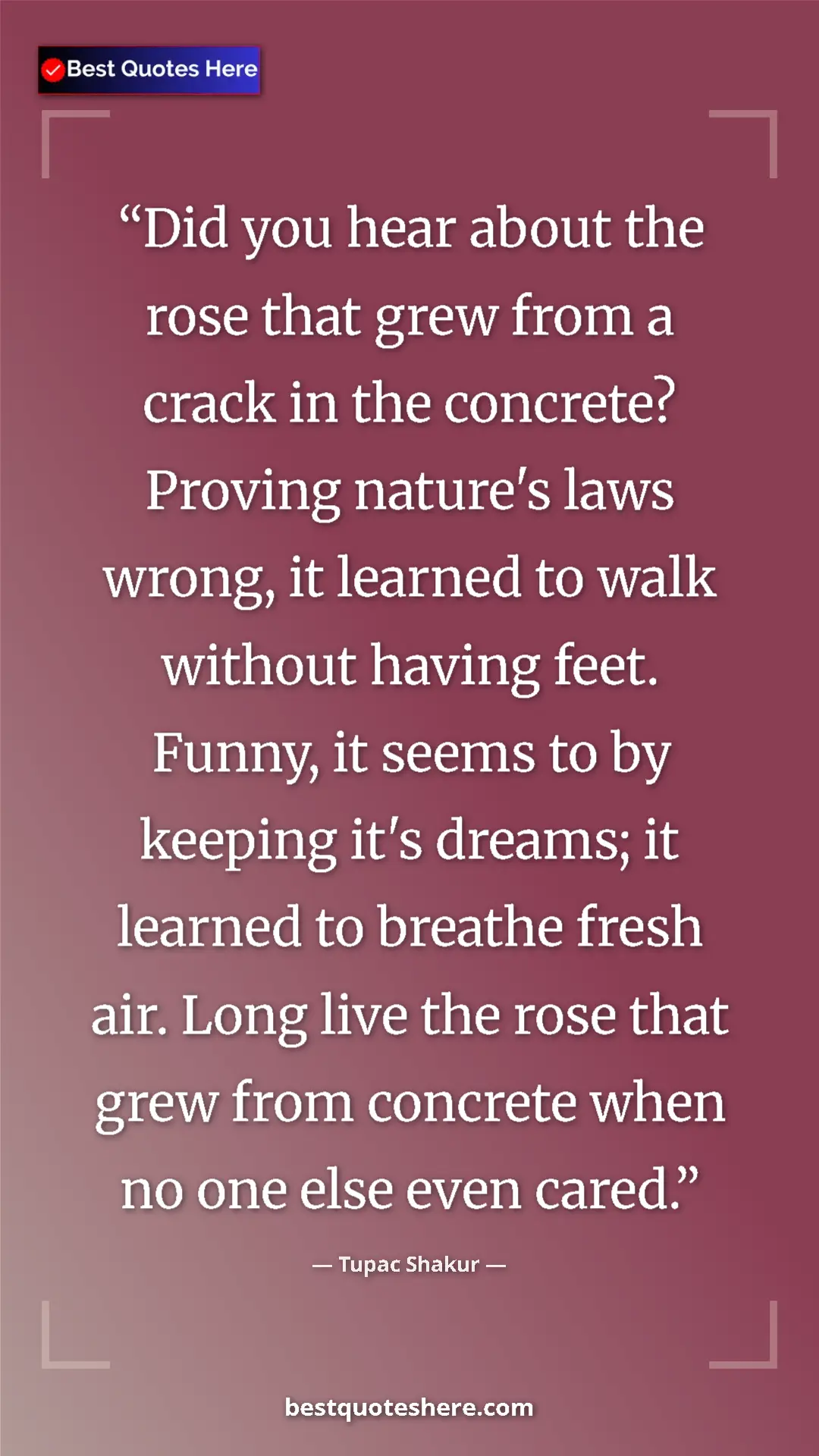 Tupac Shakur Quote Card: "Did you hear about the rose that grew from a crack in the..." Pinterest quote poster by Tupac Shakur: "Did you hear about the rose that grew from a crack in the..."