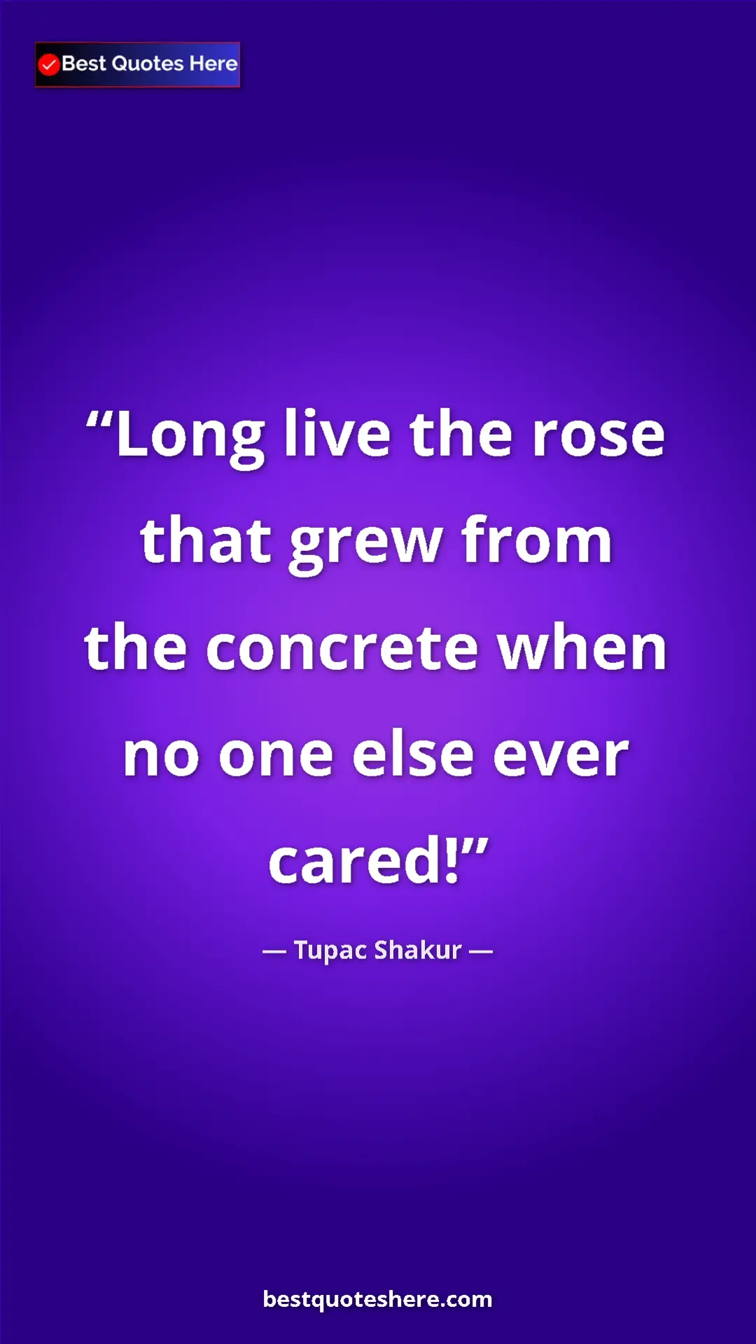 Pinterest quote poster by Tupac Shakur: "Long live the rose that grew from the concrete when no one..."