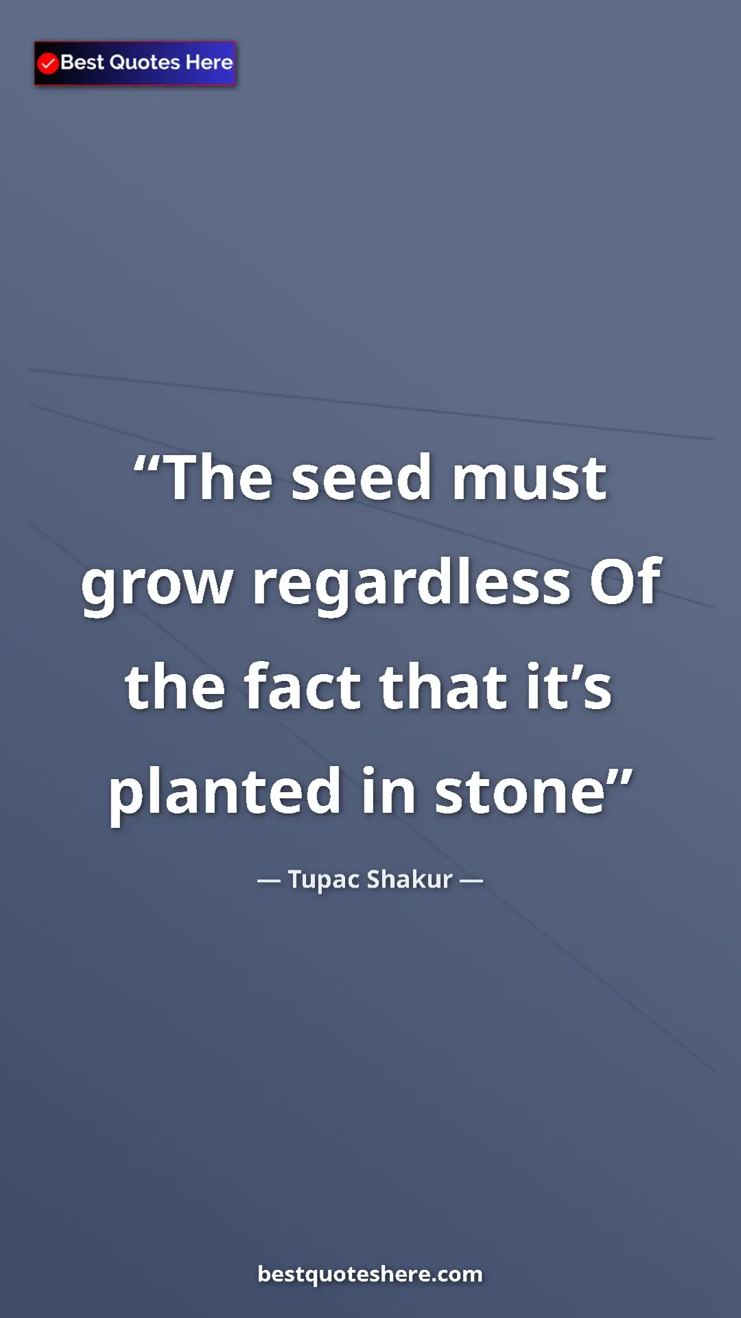 Pinterest quote poster by Tupac Shakur: "The seed must grow regardless Of the fact that it’s planted..."
