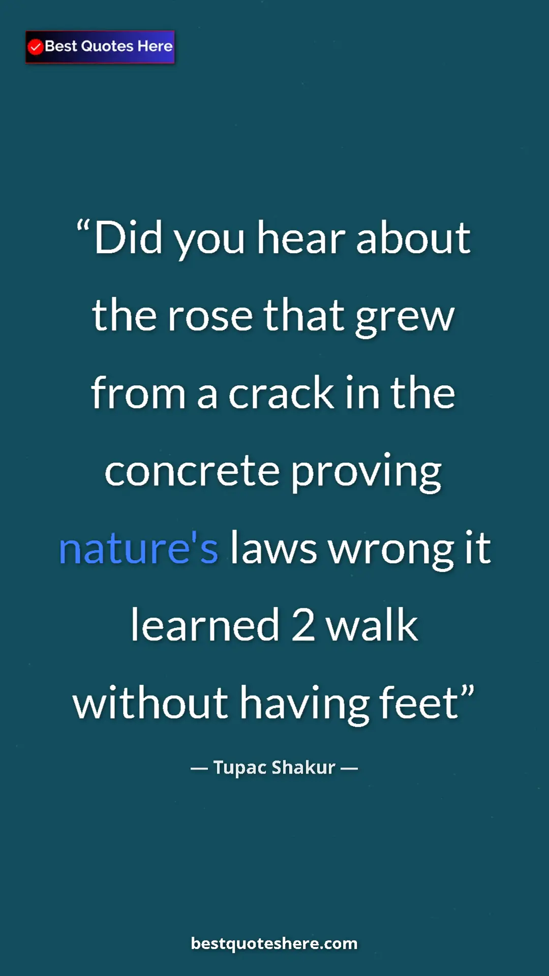 Pinterest quote poster by Tupac Shakur: "Did you hear about the rose that grew from a crack in the..."